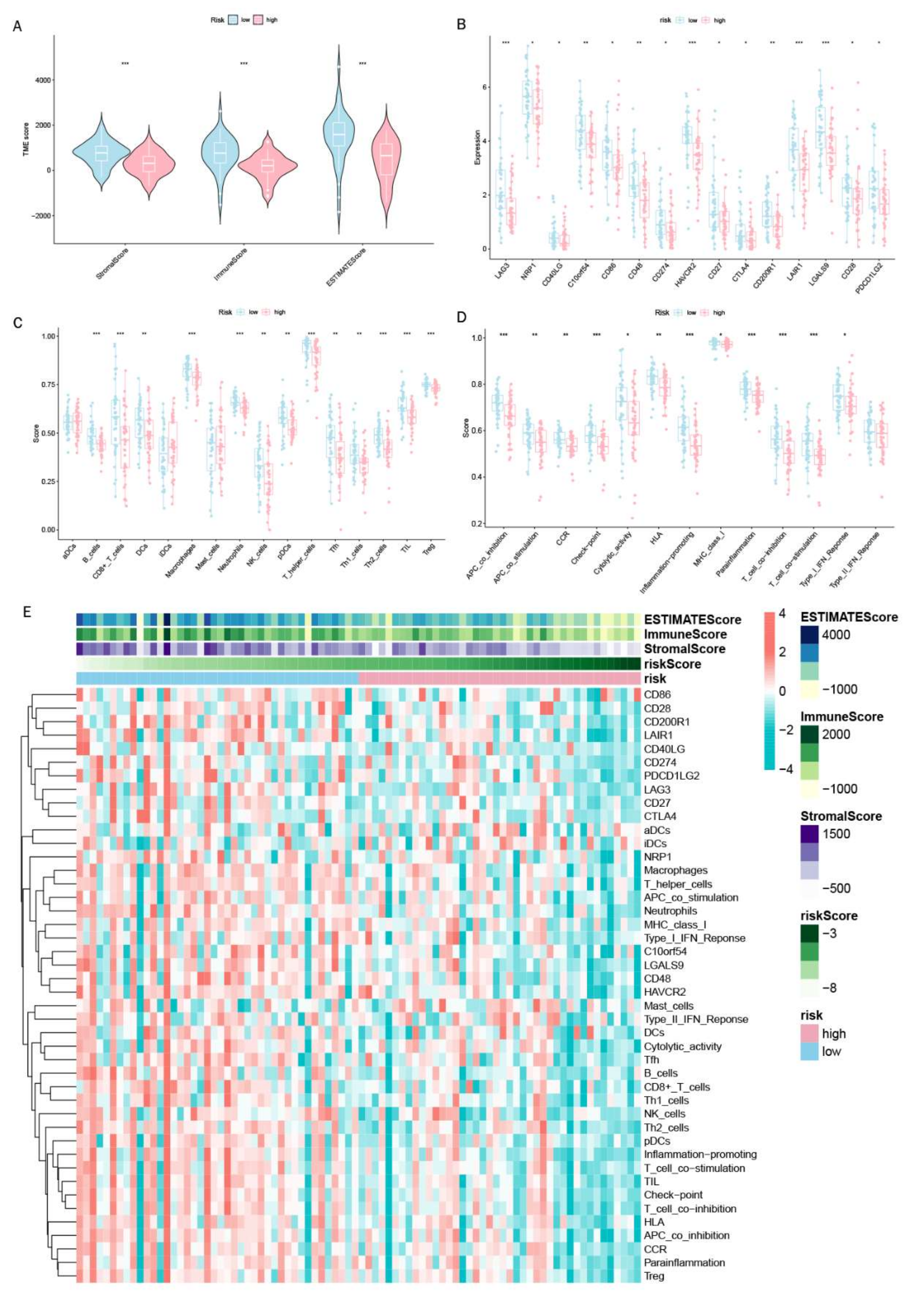 Cancers 15 02405 g011 Cancers 15 02405 g011