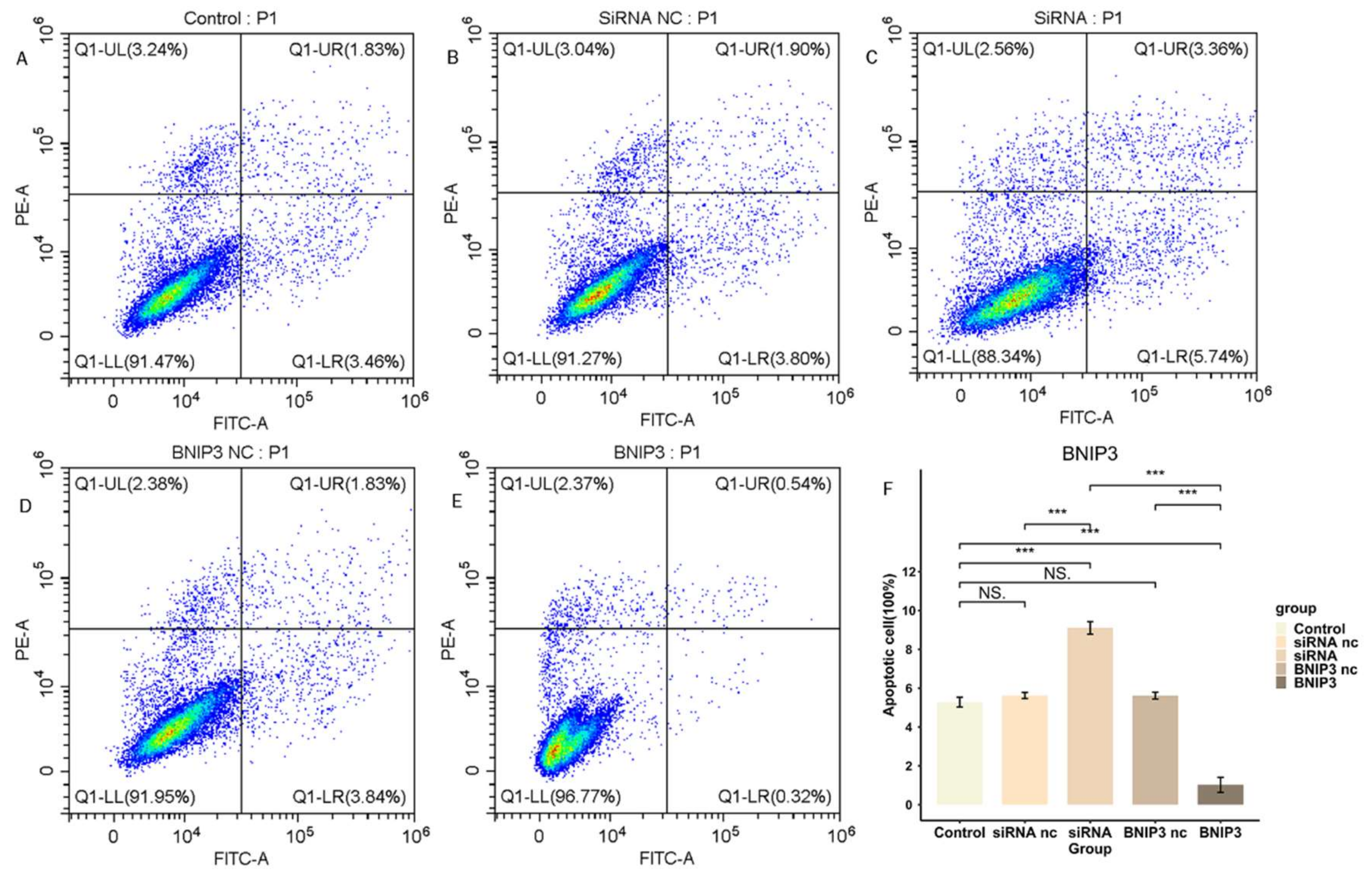 Cancers 15 02405 g016 Cancers 15 02405 g016