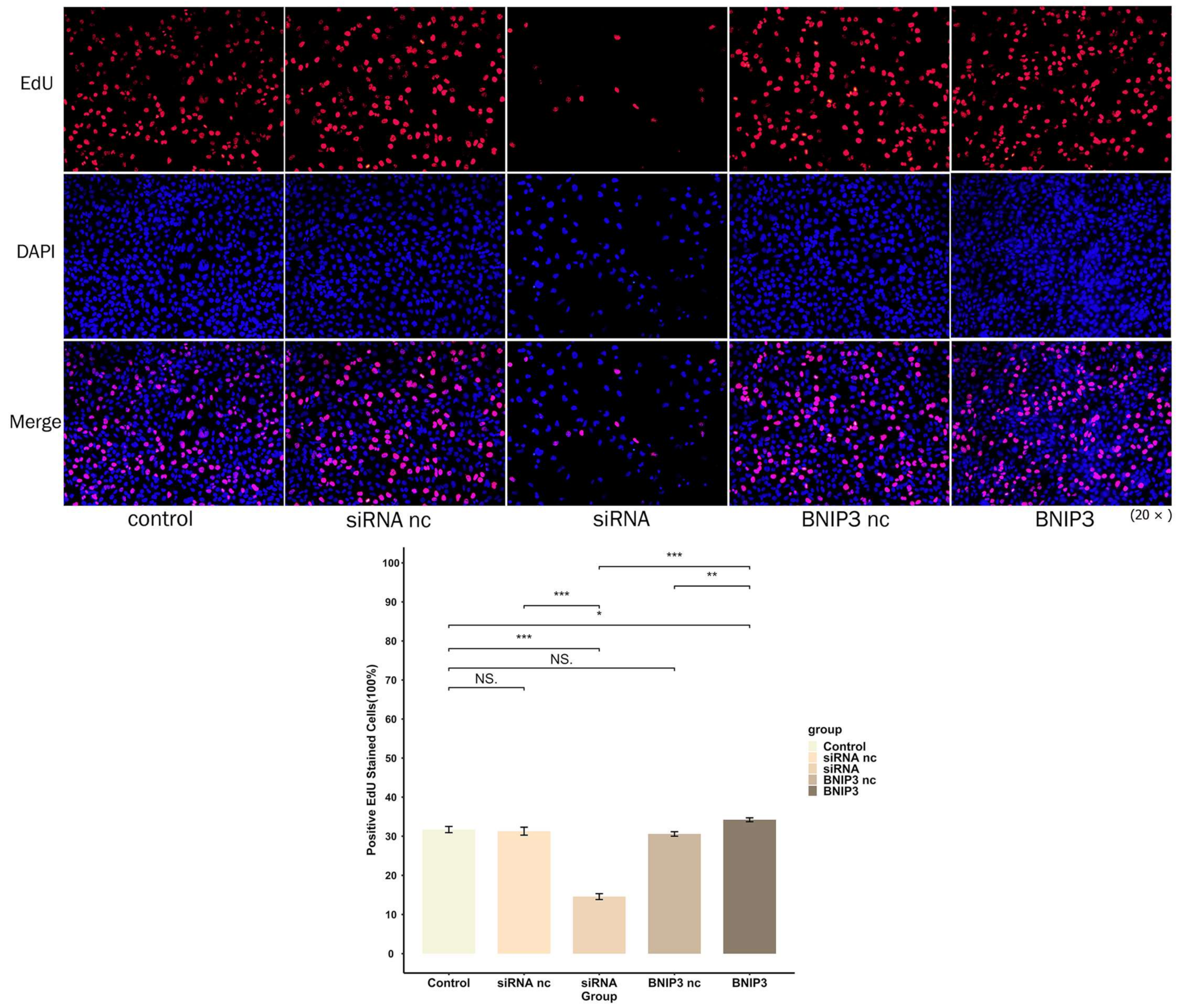 Cancers 15 02405 g017 Cancers 15 02405 g017