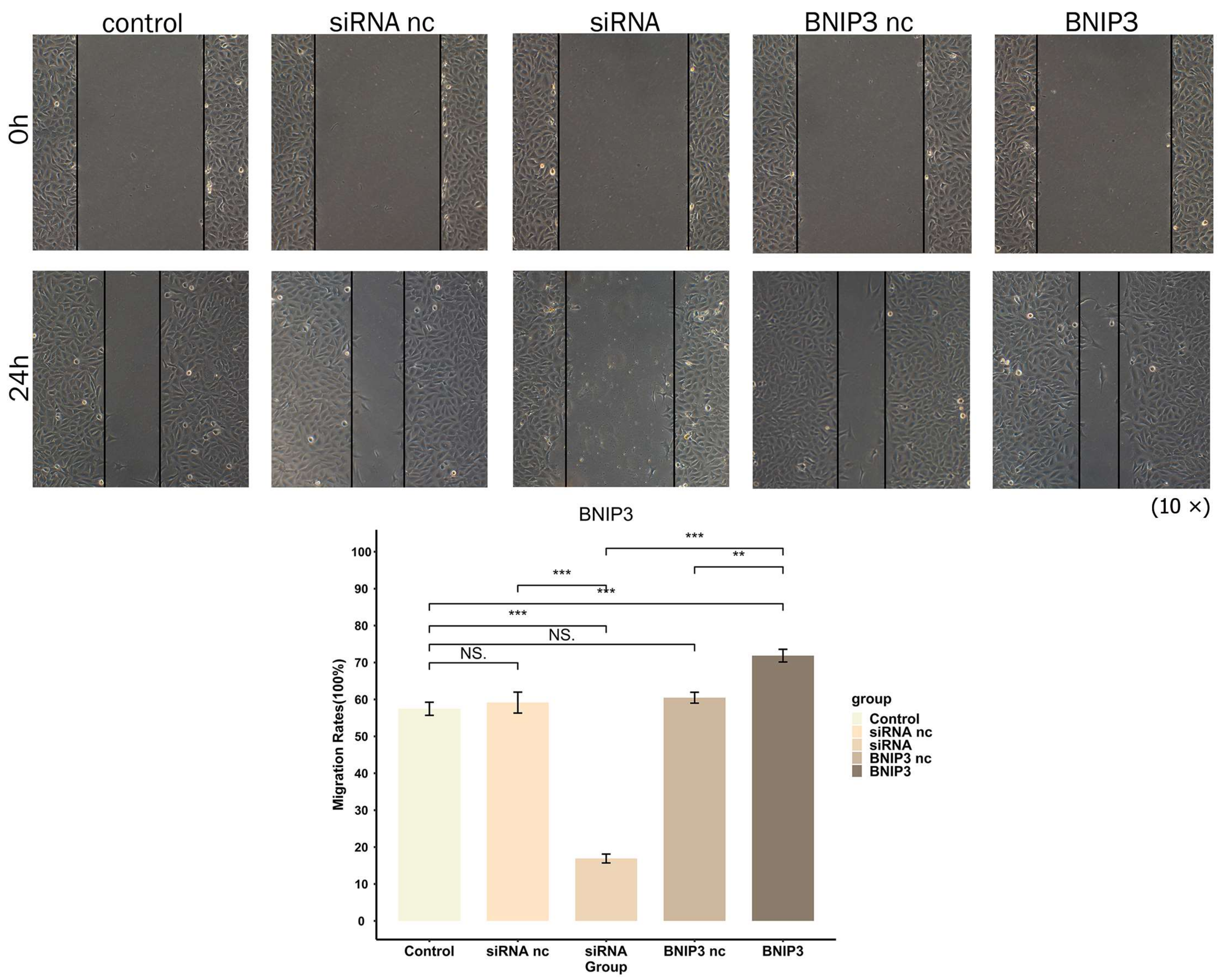 Cancers 15 02405 g018 Cancers 15 02405 g018