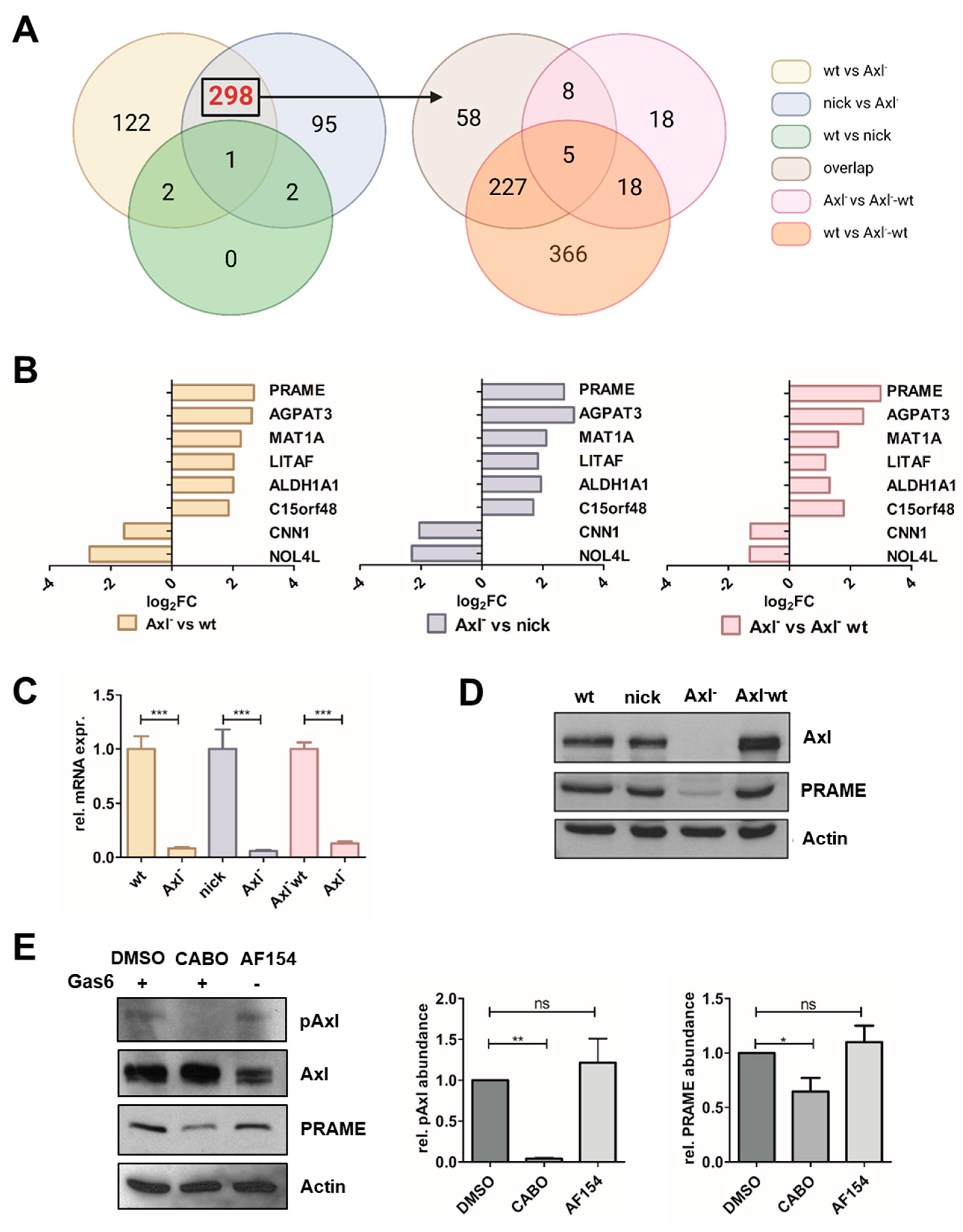 Cancers | Free Full-Text | PRAME Is a Novel Target of Tumor