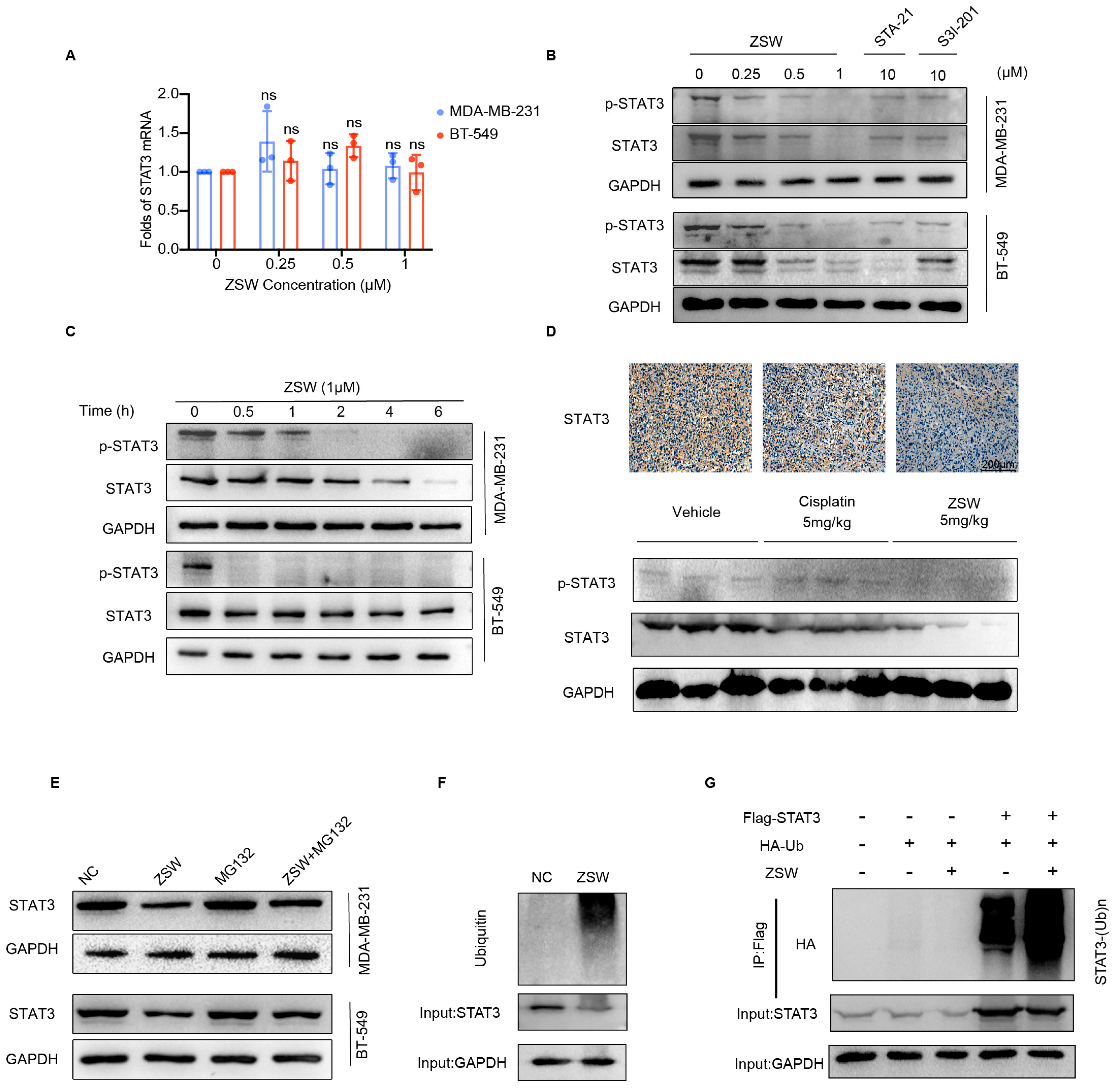 Cancers 15 02424 g004