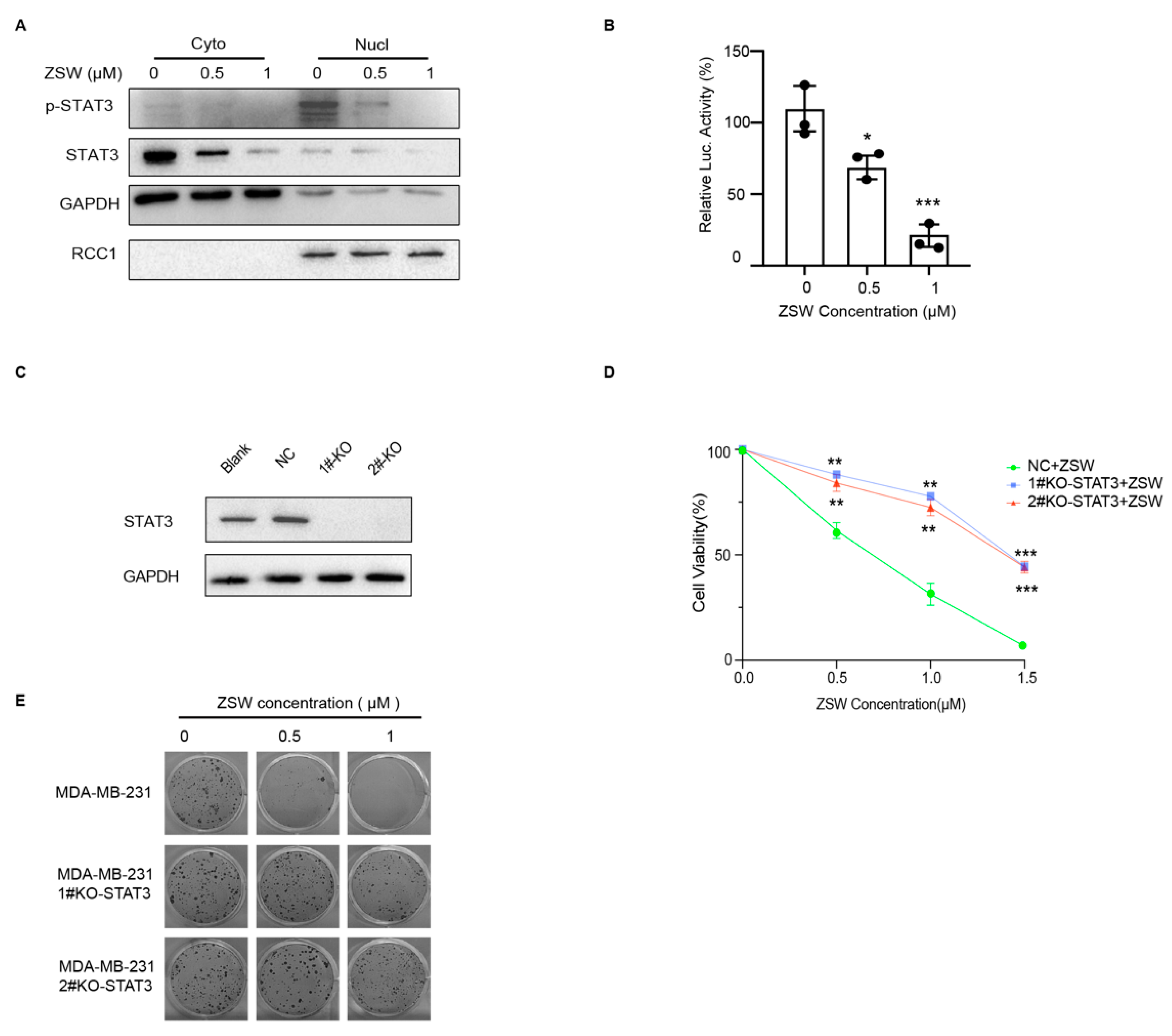 Cancers 15 02424 g005