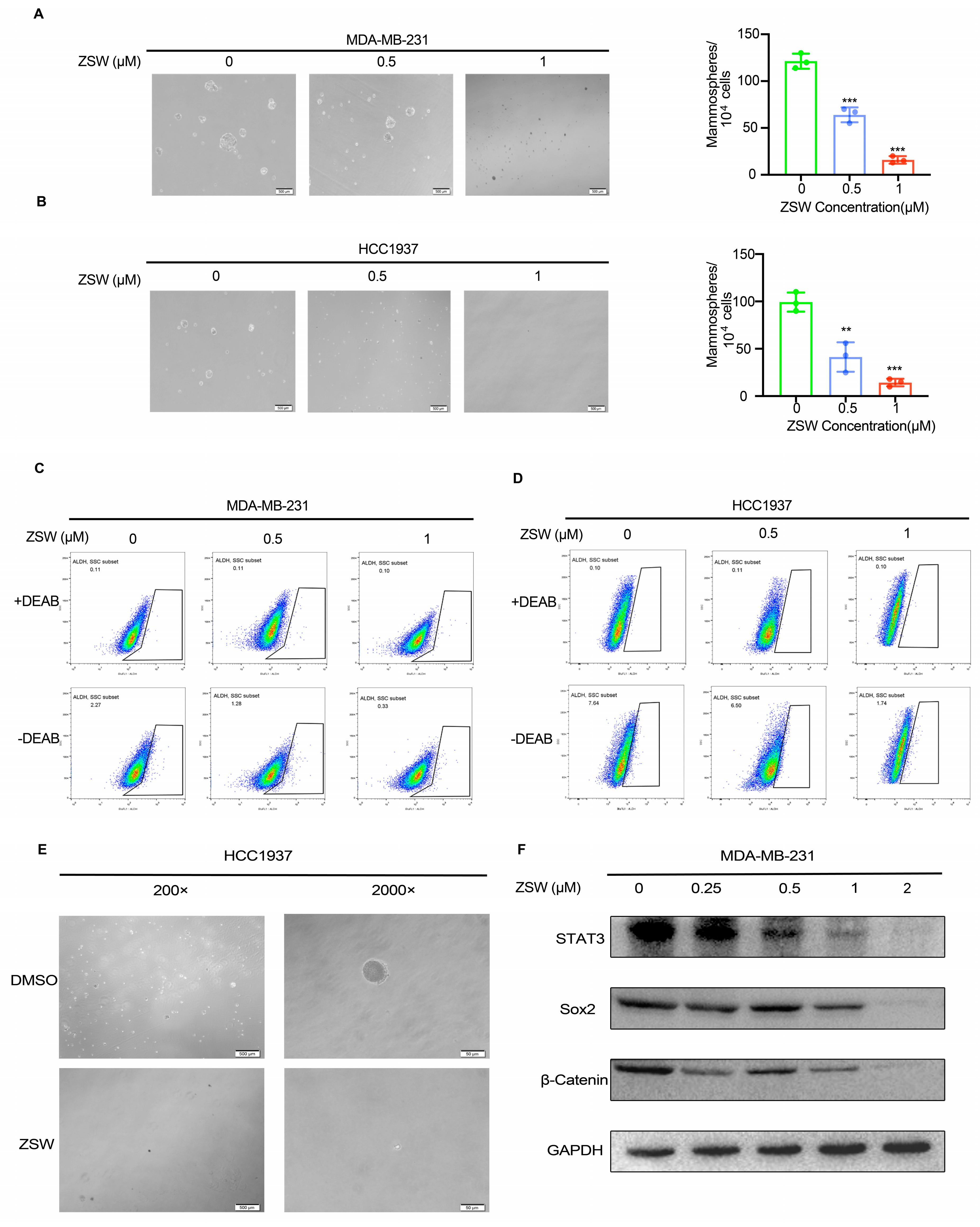 Cancers 15 02424 g006