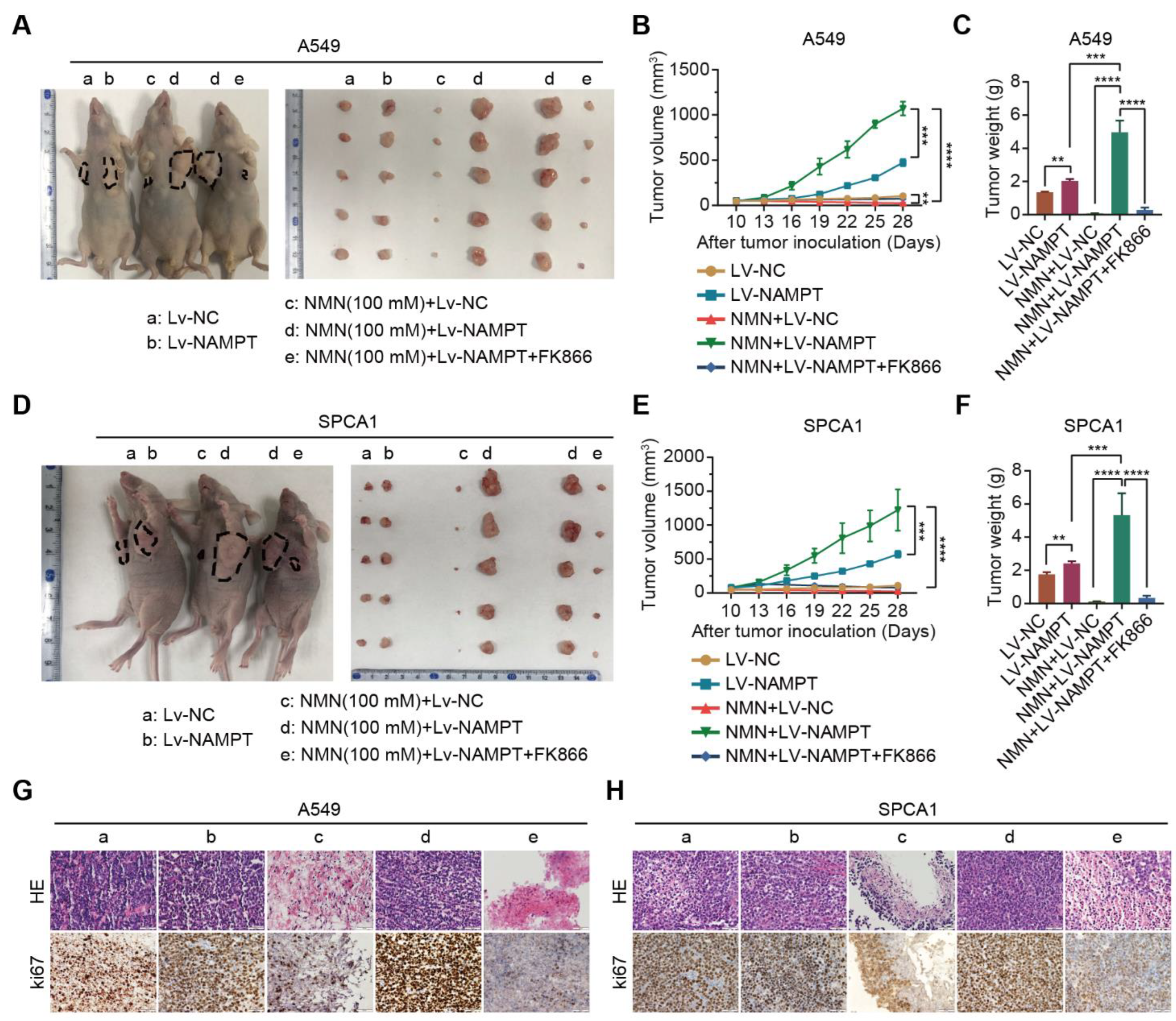 Cancers 15 02427 g005