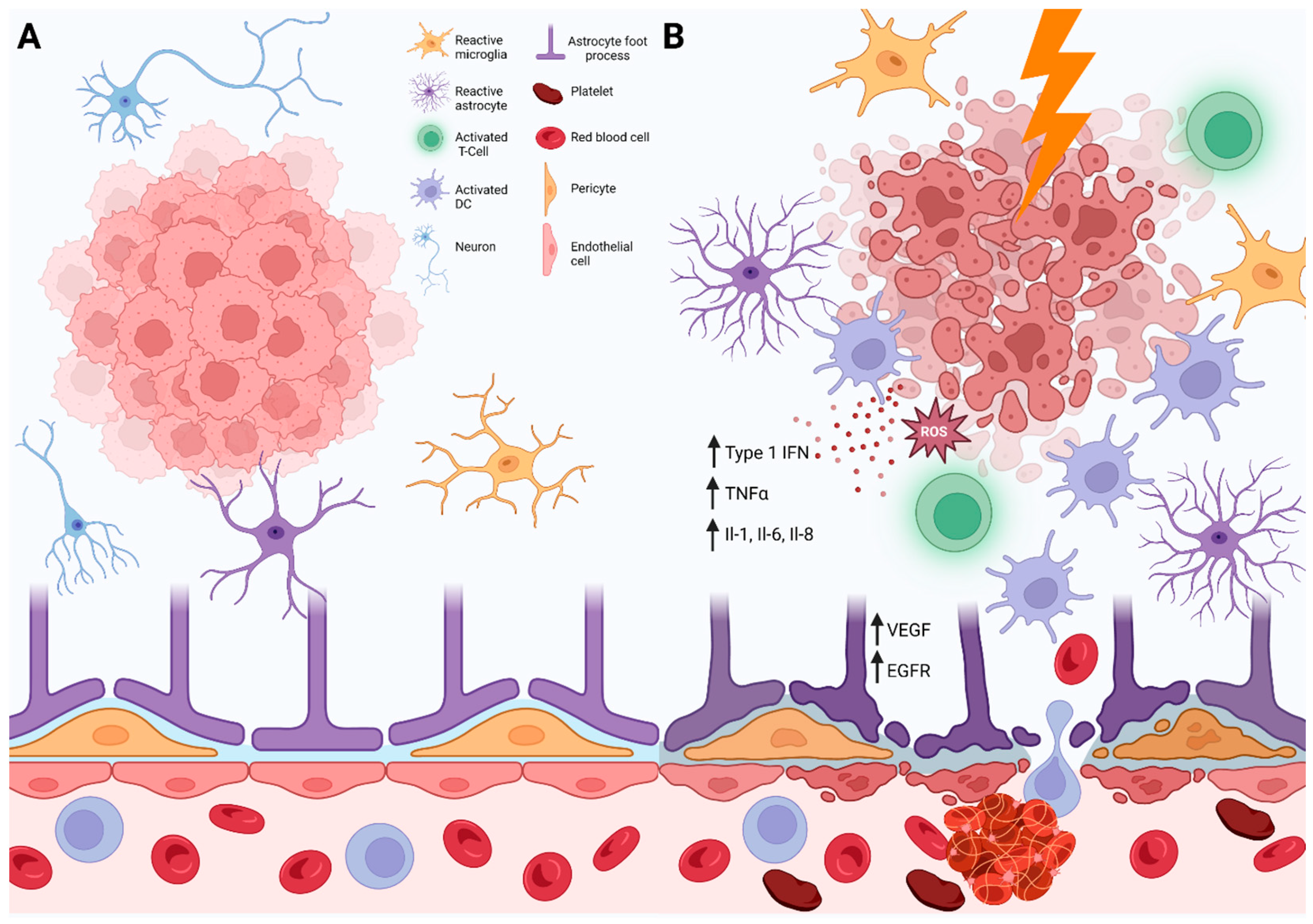 Cancers 15 02432 g002