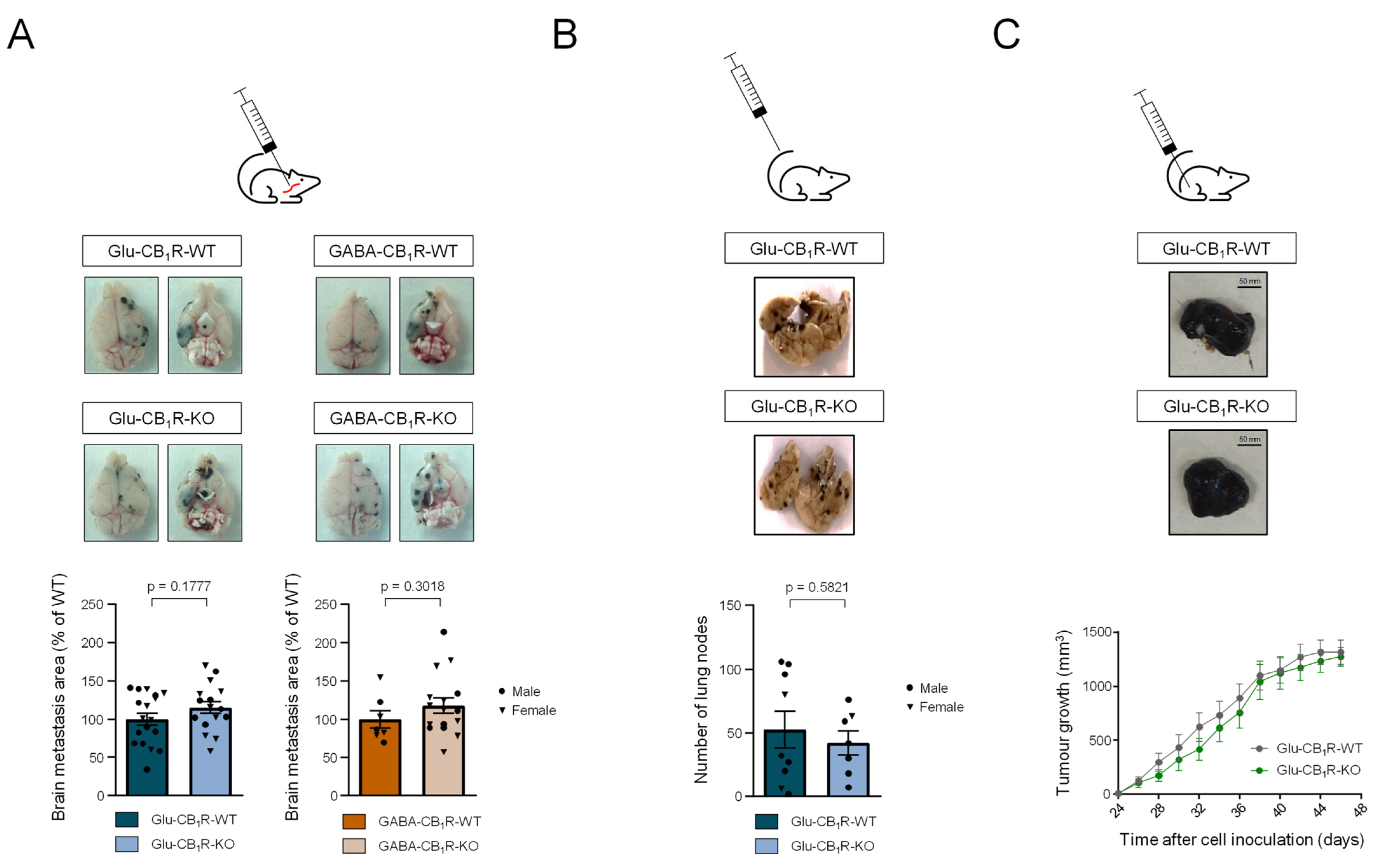 Cancers 15 02439 g006 Cancers 15 02439 g006