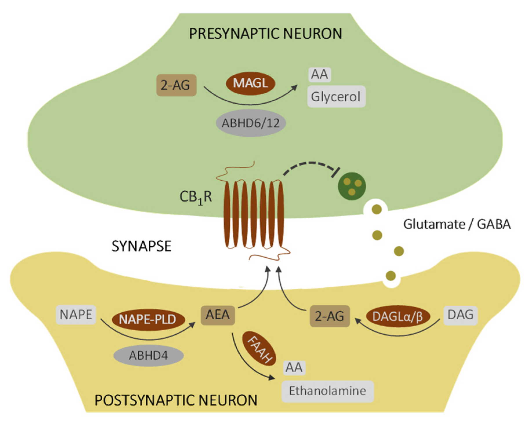 Cancers 15 02439 sch001 Cancers 15 02439 sch001