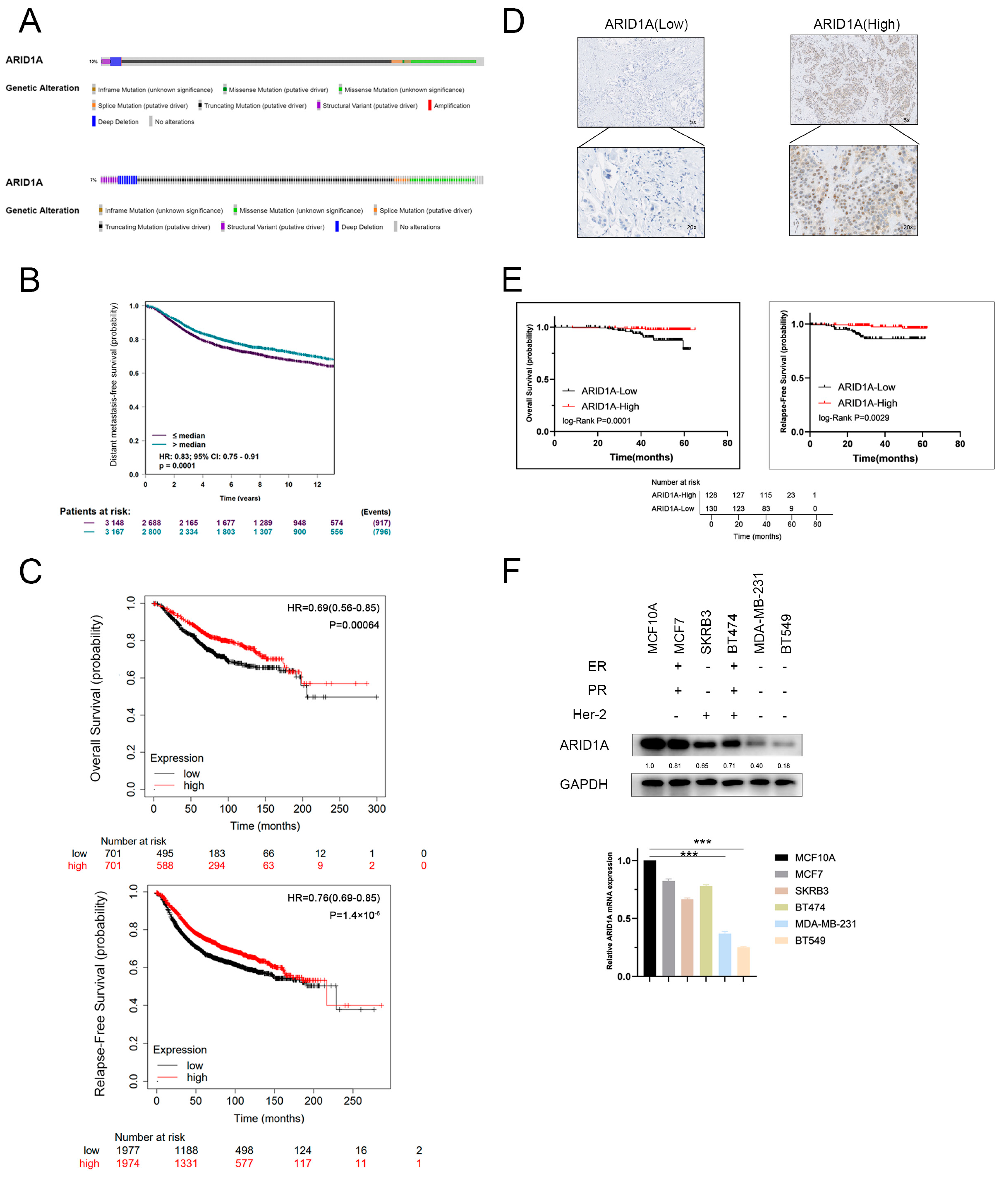 Cancers 15 02447 g001 Cancers 15 02447 g001