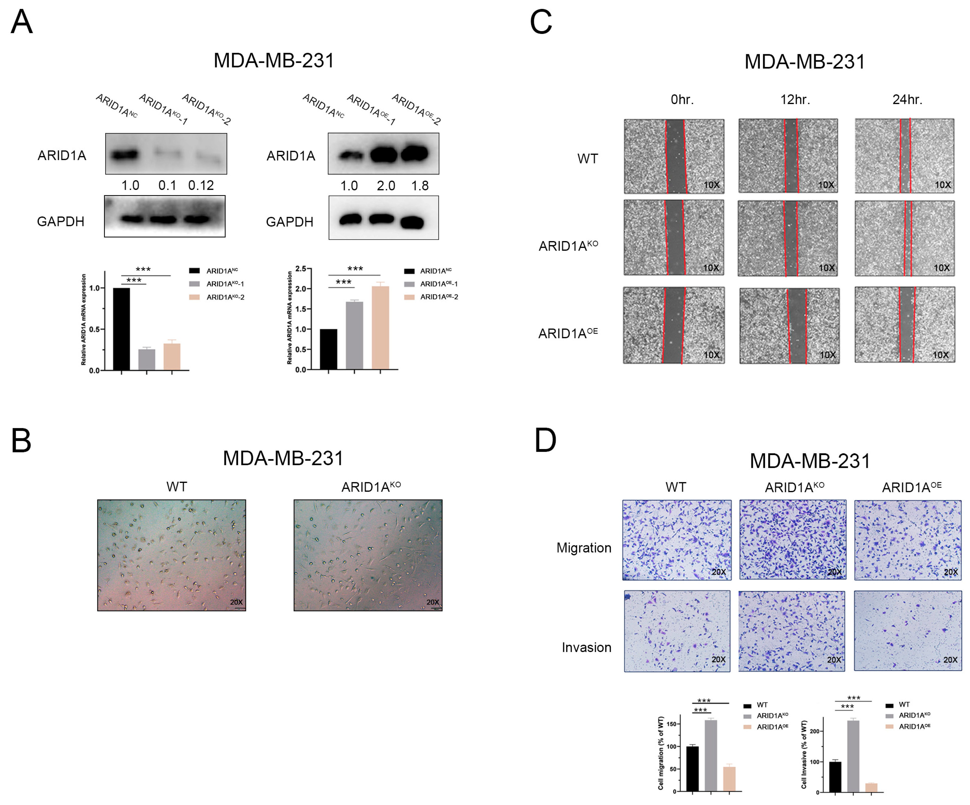 Cancers 15 02447 g002 Cancers 15 02447 g002