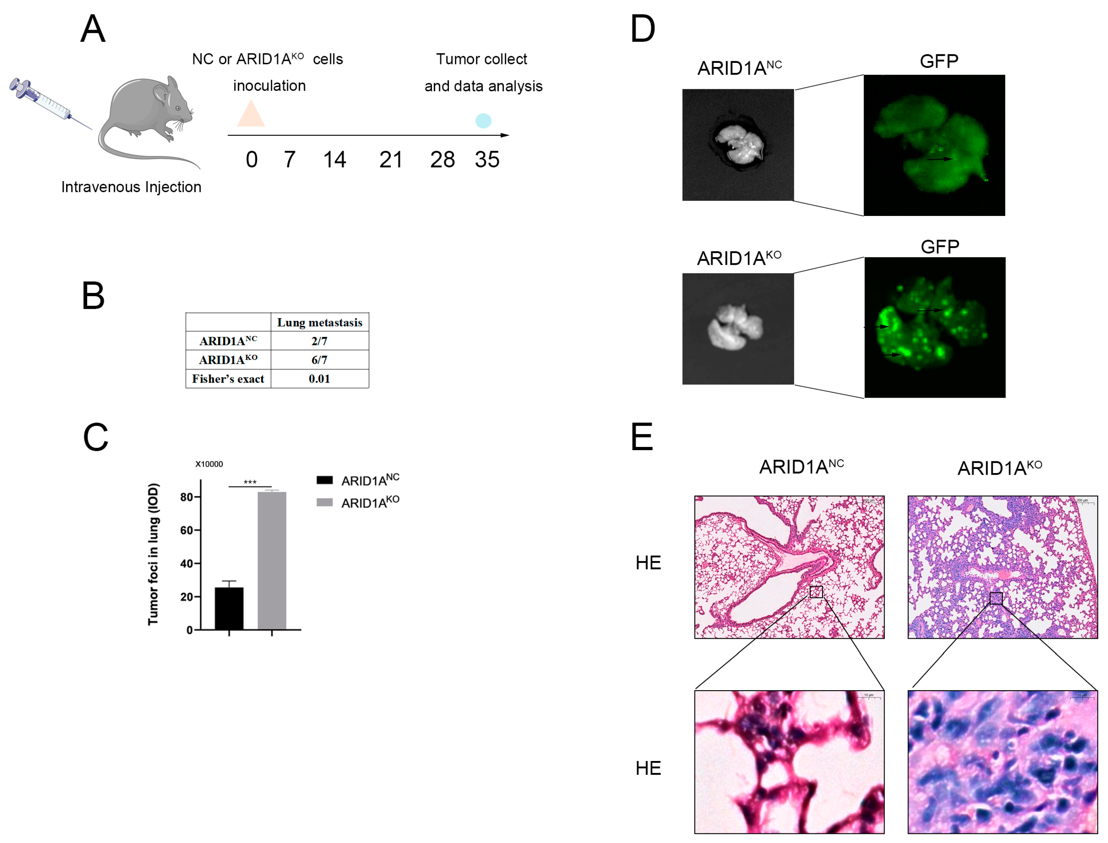 Cancers 15 02447 g003 Cancers 15 02447 g003