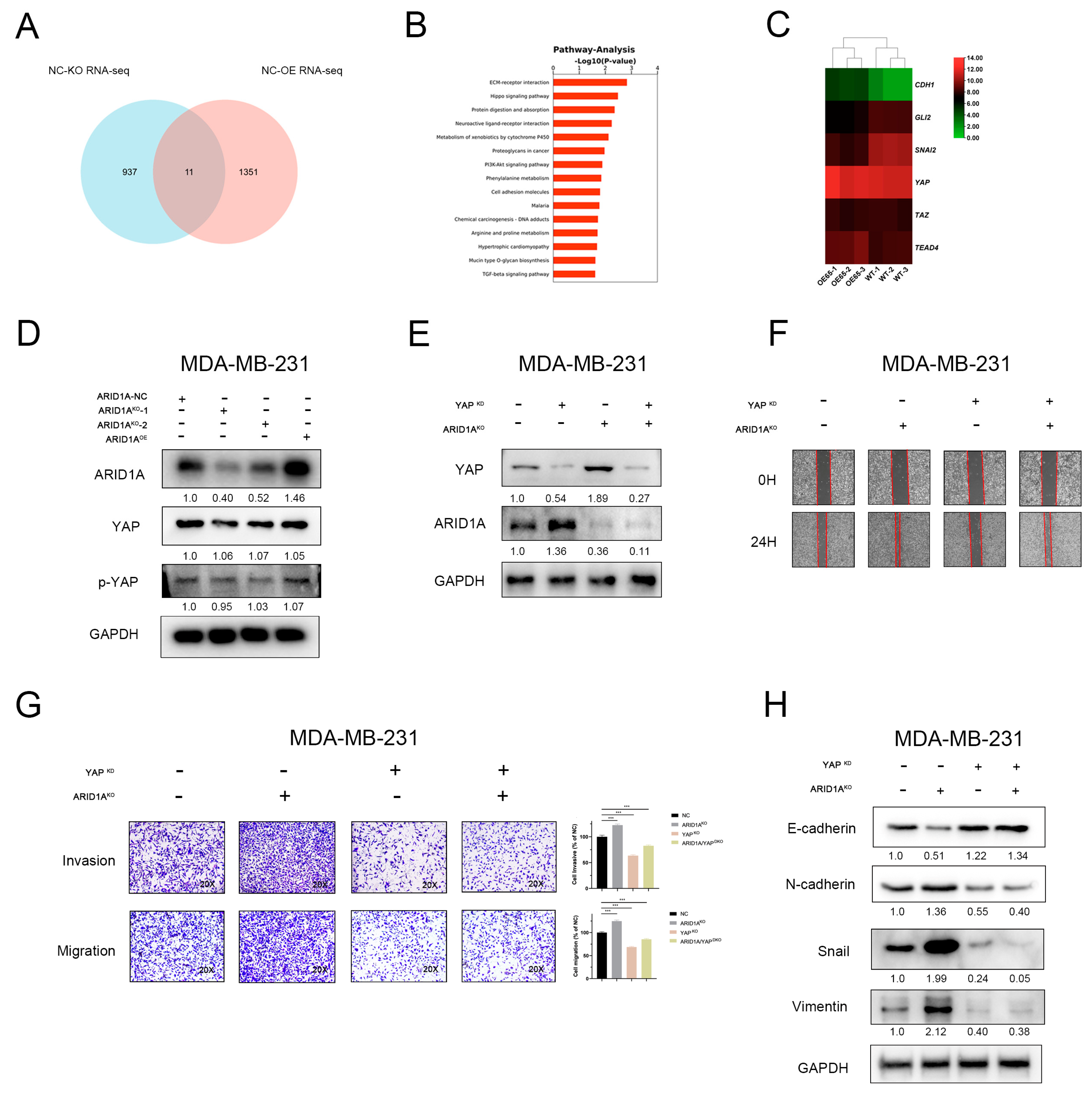 Cancers 15 02447 g005 Cancers 15 02447 g005