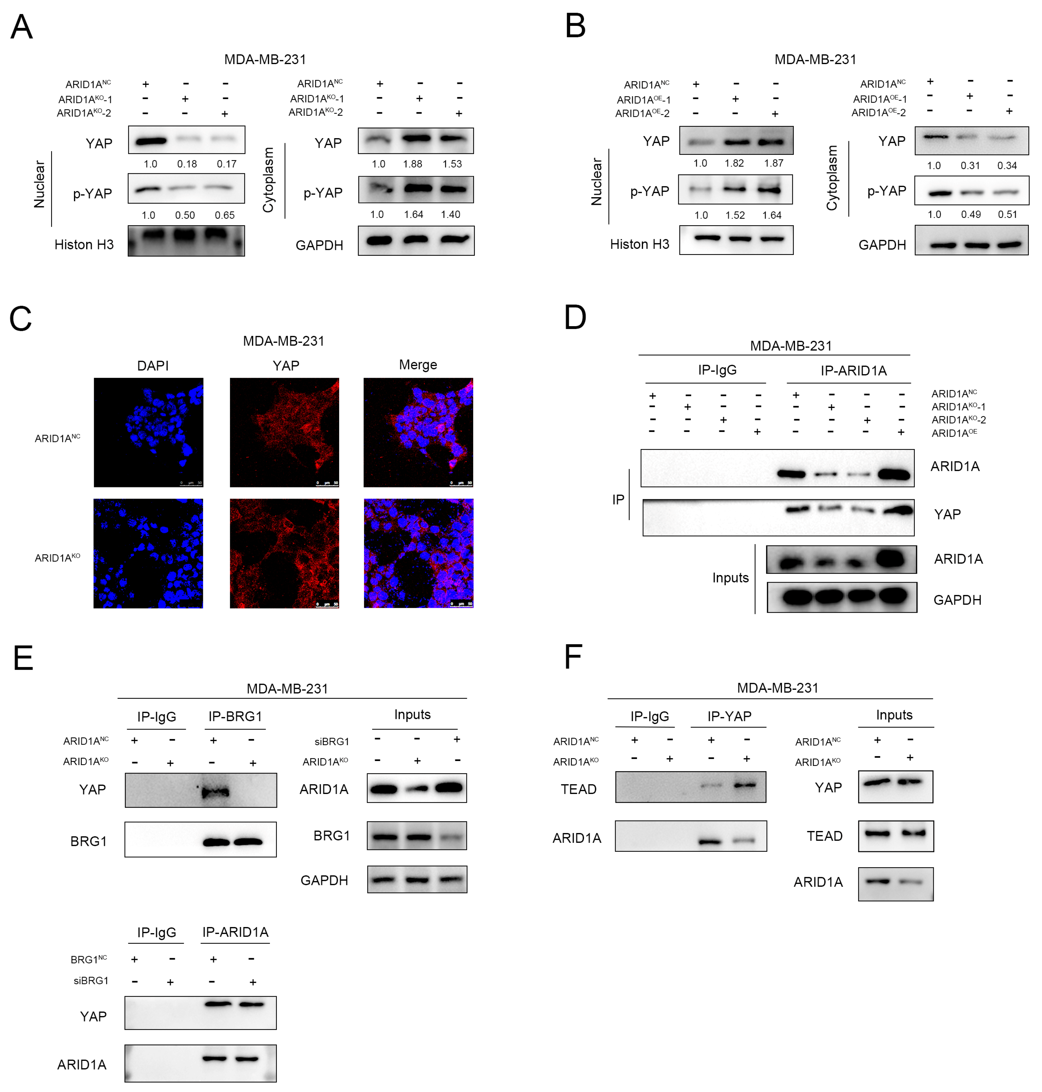 Cancers 15 02447 g006 Cancers 15 02447 g006
