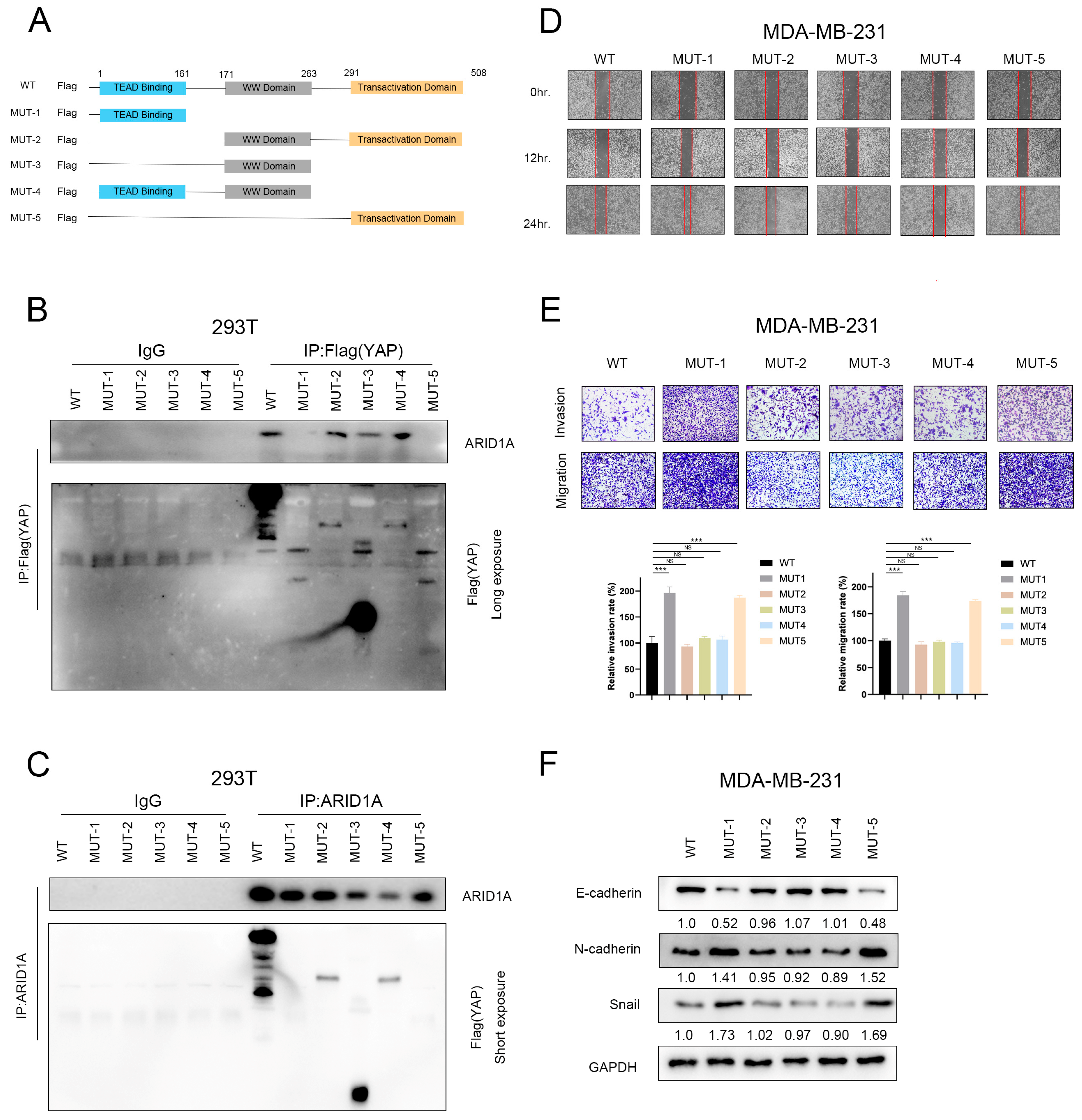 Cancers 15 02447 g007 Cancers 15 02447 g007