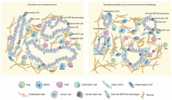 https://www.mdpi.com/cancers/cancers-15-02448/article_deploy/html/images/cancers-15-02448-g001-550.jpg