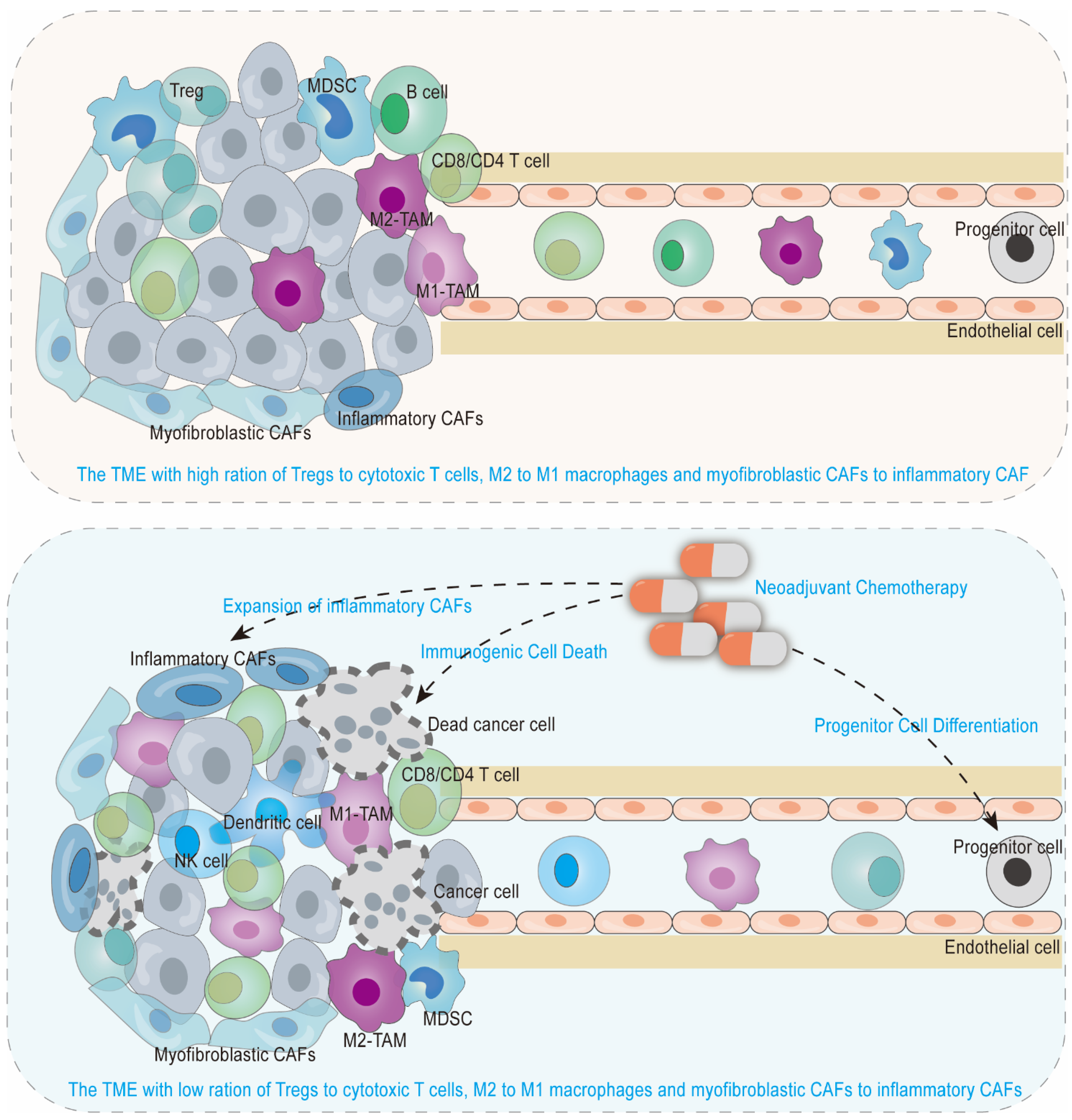 Cancers 15 02448 g002 Cancers 15 02448 g002