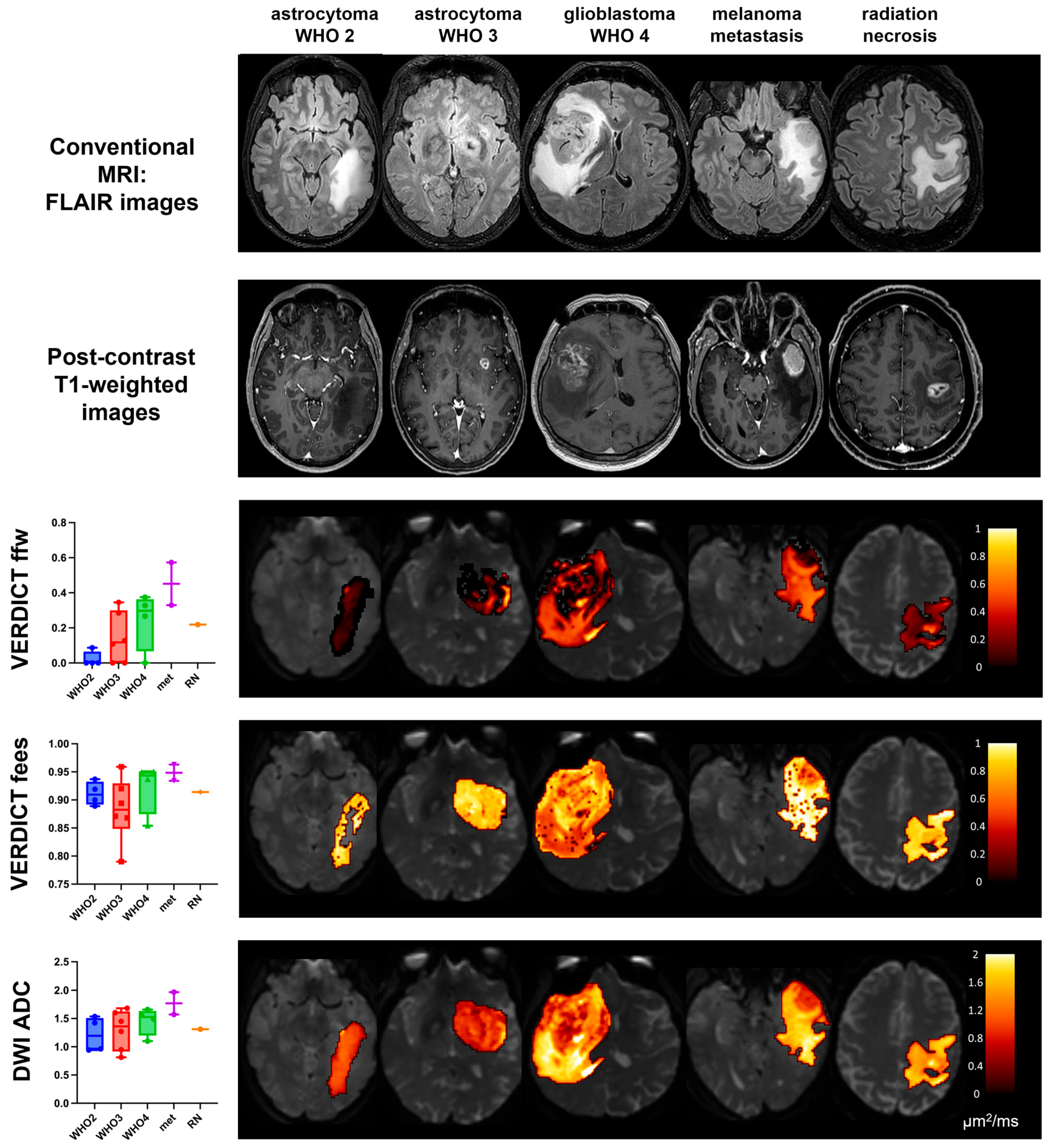 Cancers 15 02490 g004 Cancers 15 02490 g004