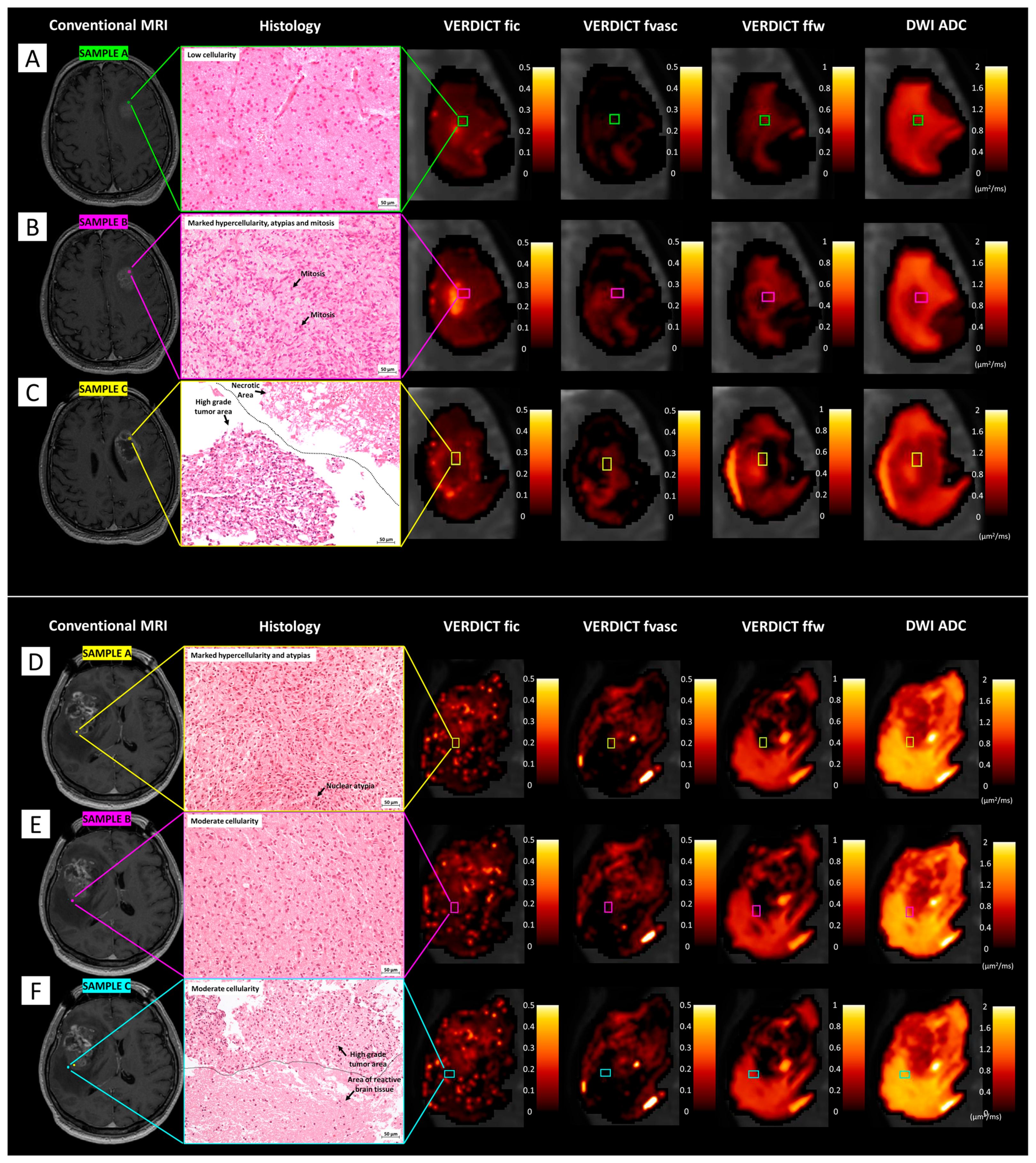 Cancers 15 02490 g007 Cancers 15 02490 g007