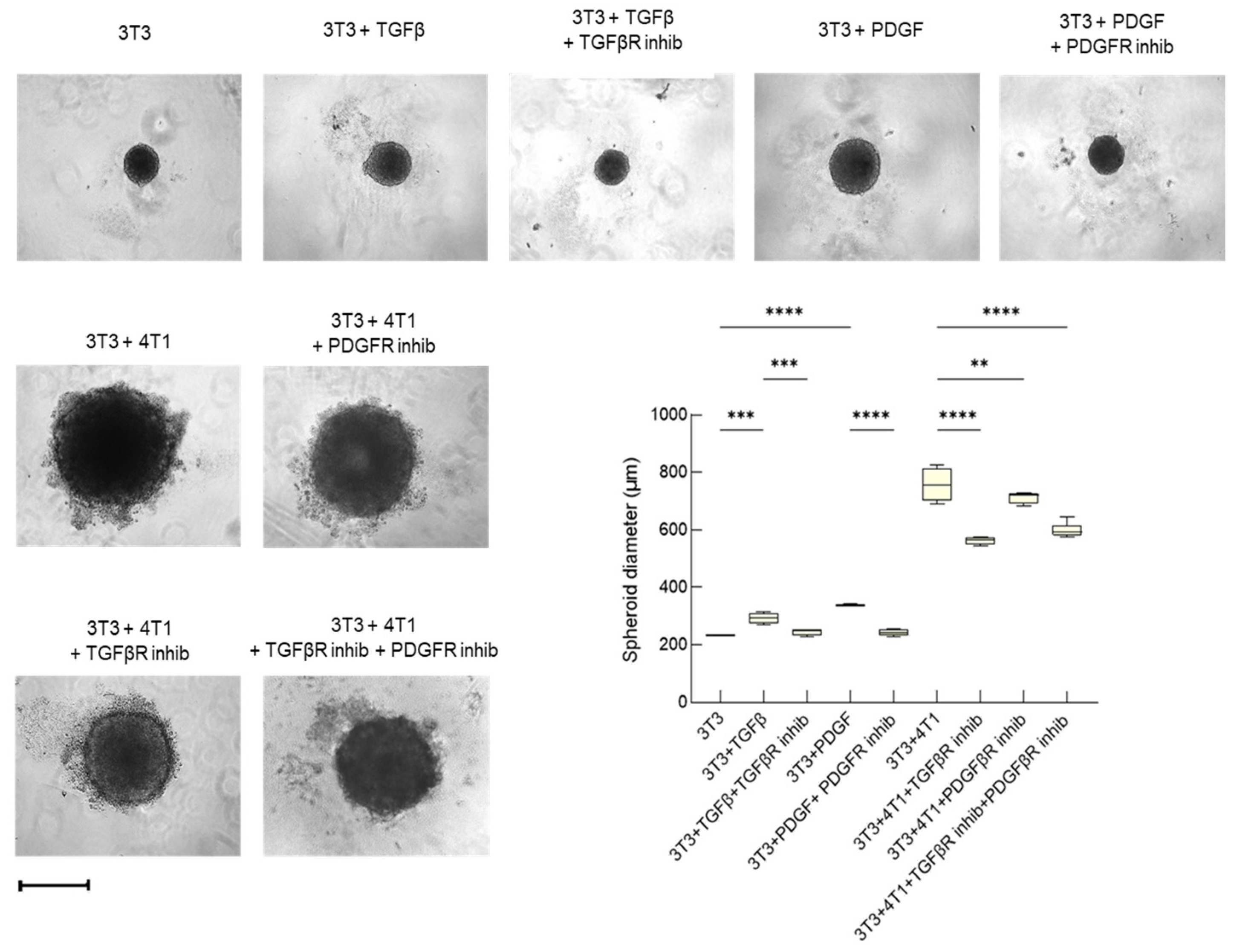 Cancers 15 02498 g002 Cancers 15 02498 g002