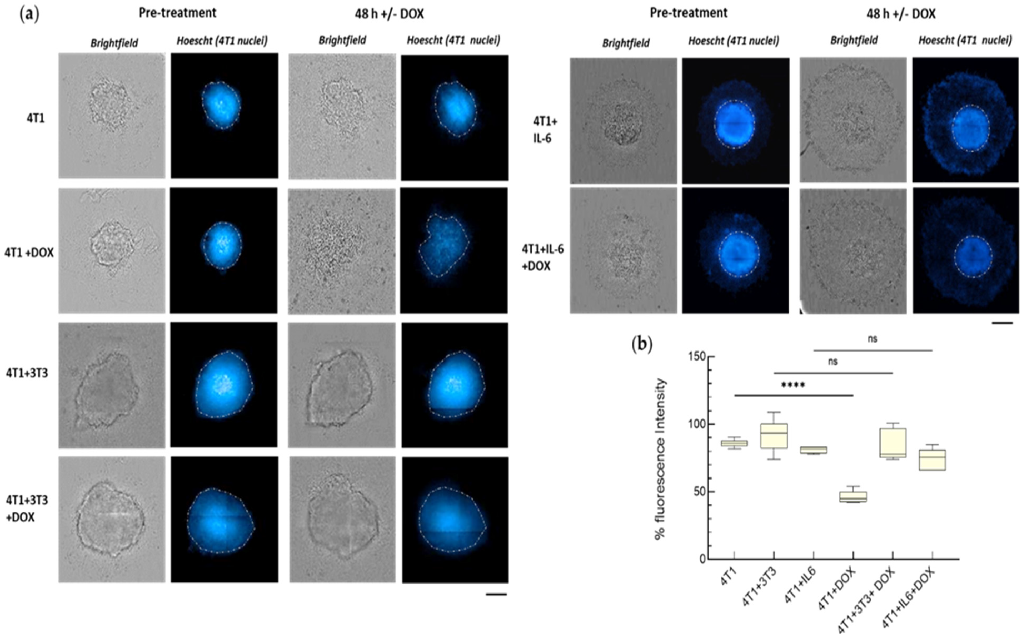 Cancers 15 02498 g006 Cancers 15 02498 g006