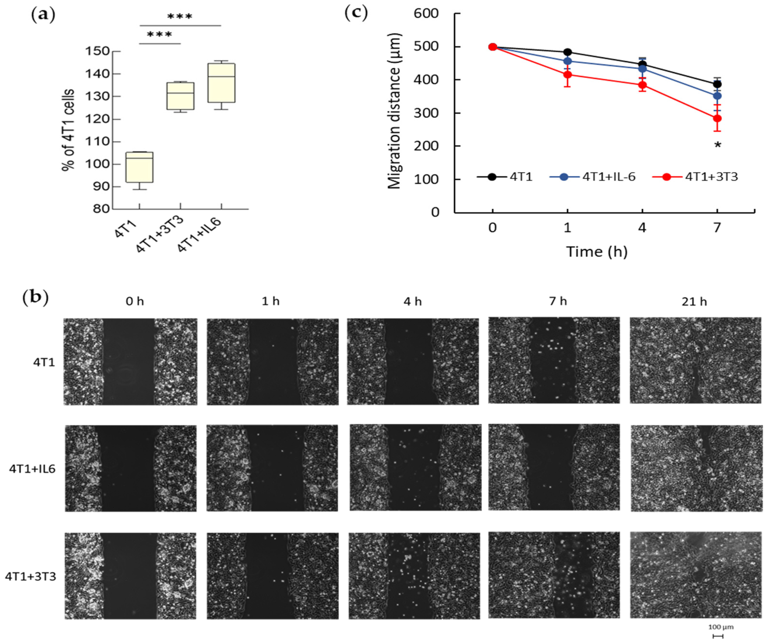 Cancers 15 02498 g007 Cancers 15 02498 g007