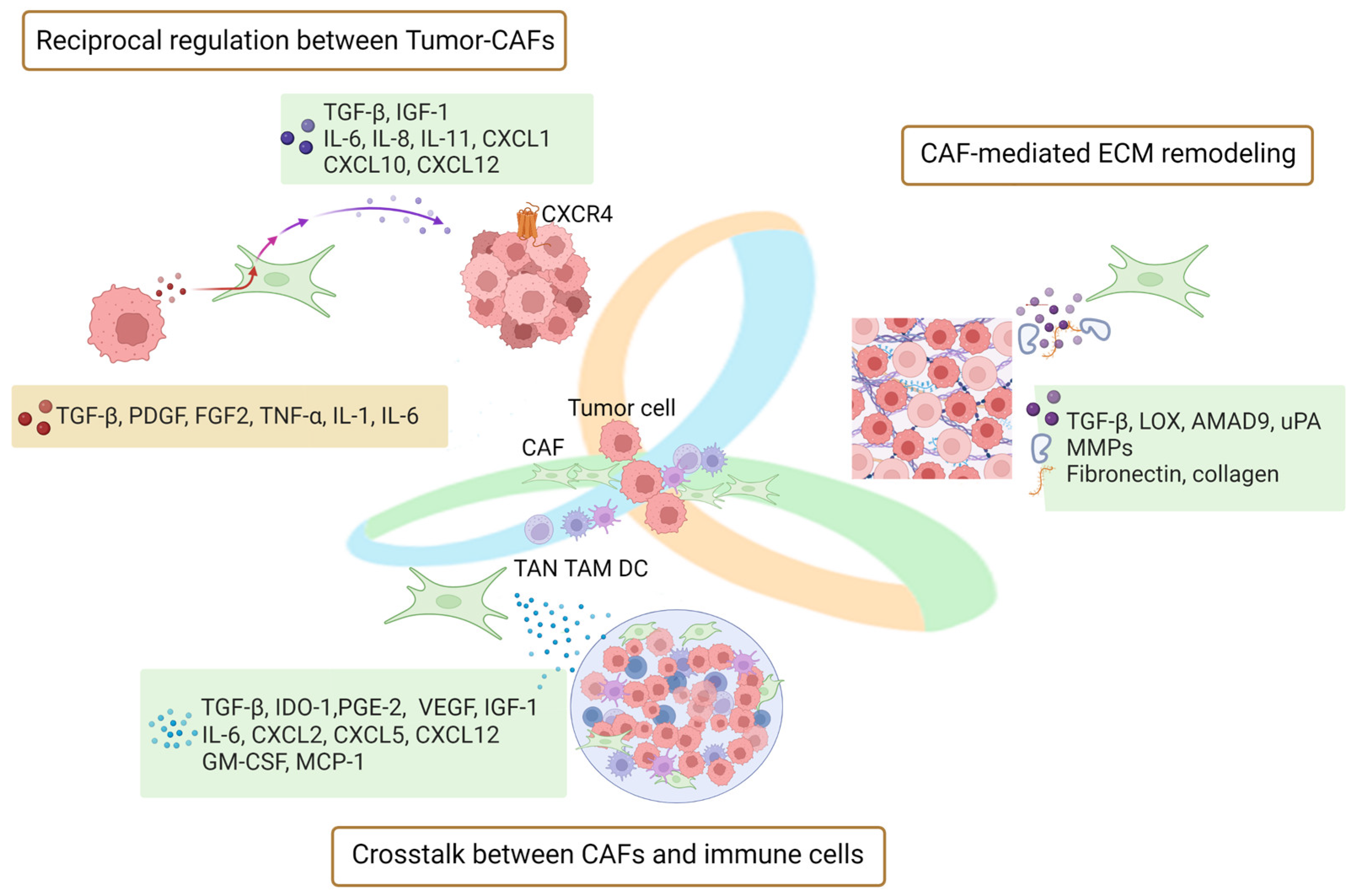 Cancers 15 02513 g001 Cancers 15 02513 g001