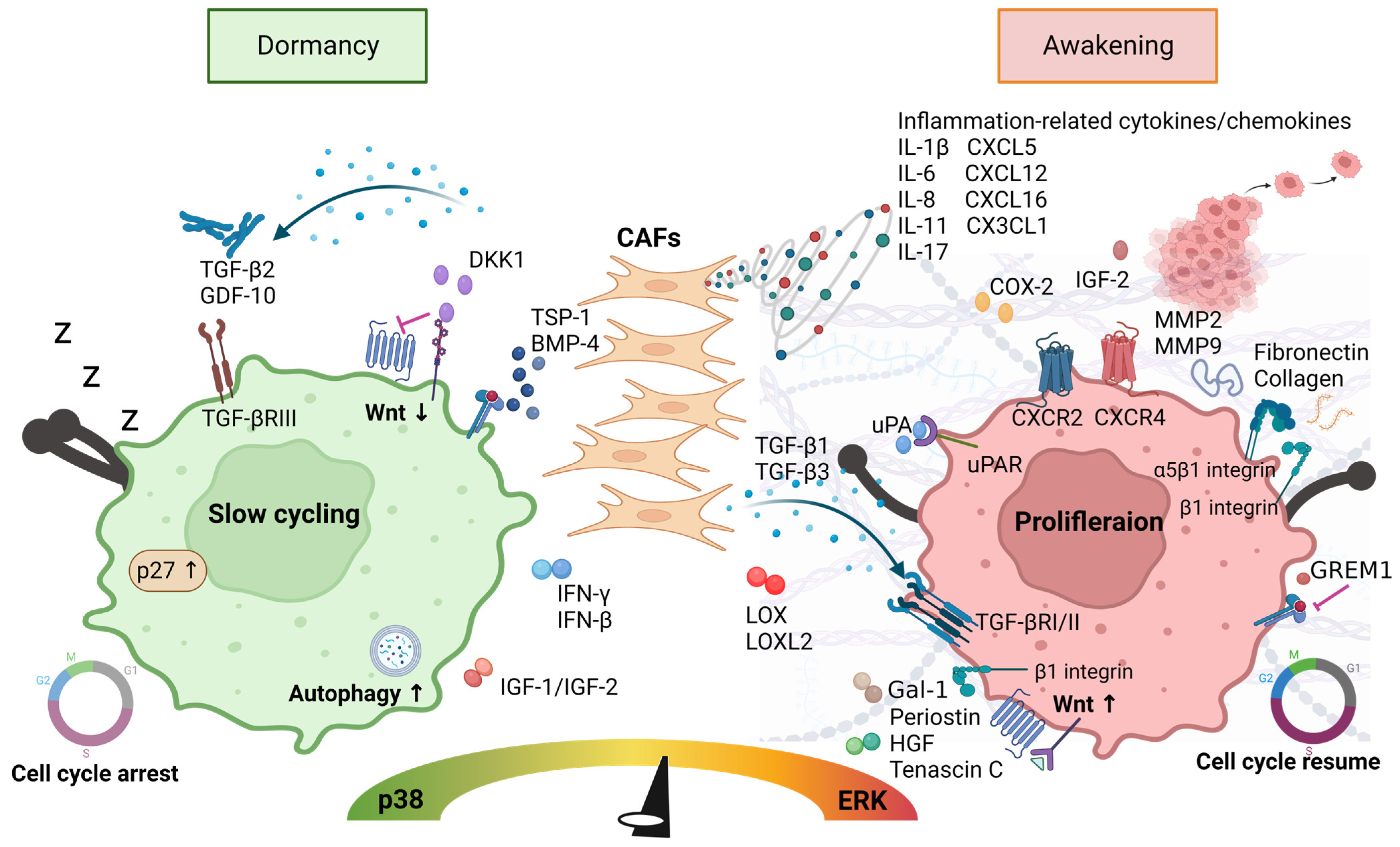Cancers 15 02513 g002 Cancers 15 02513 g002