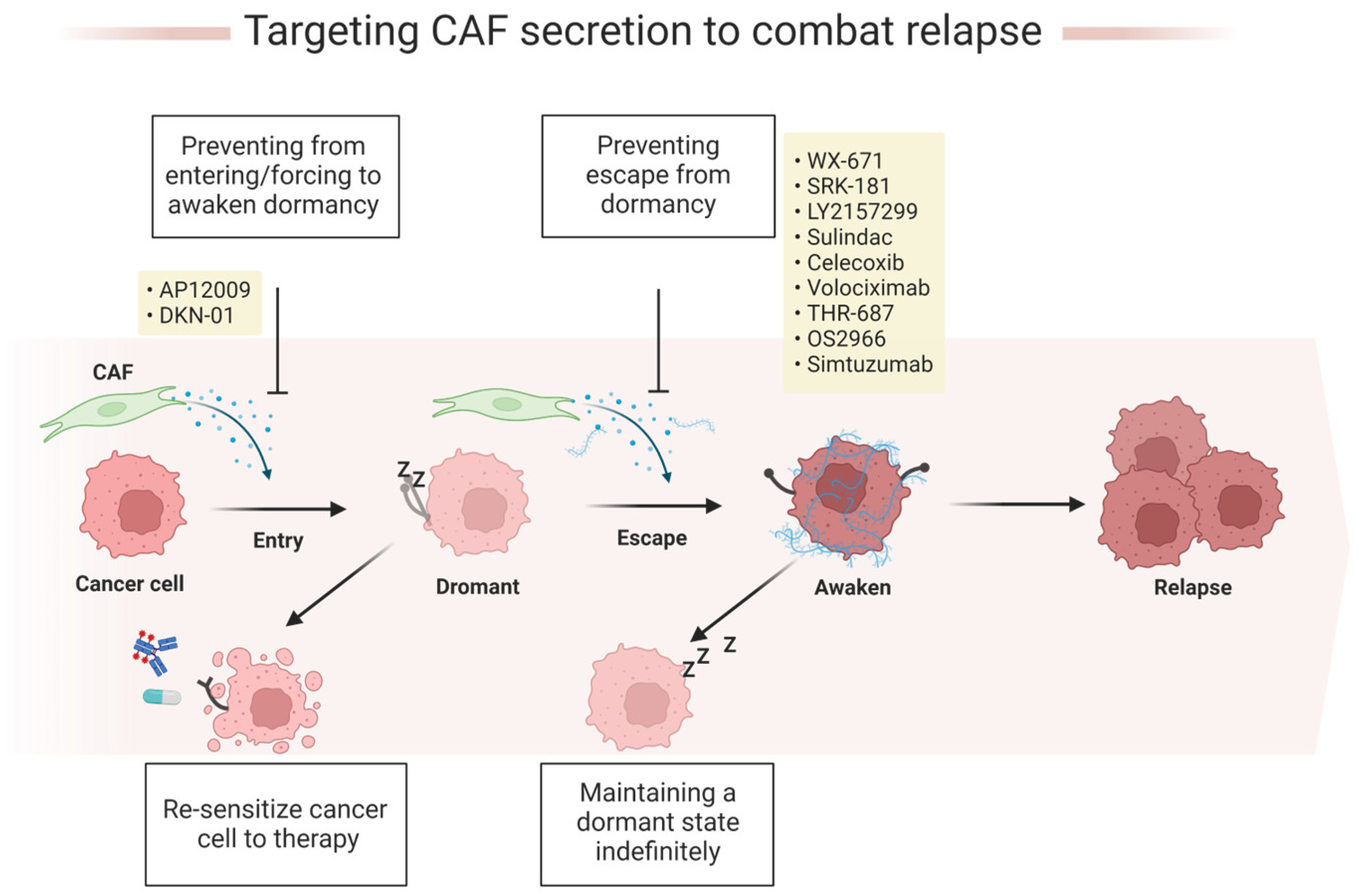 Cancers 15 02513 g003 Cancers 15 02513 g003