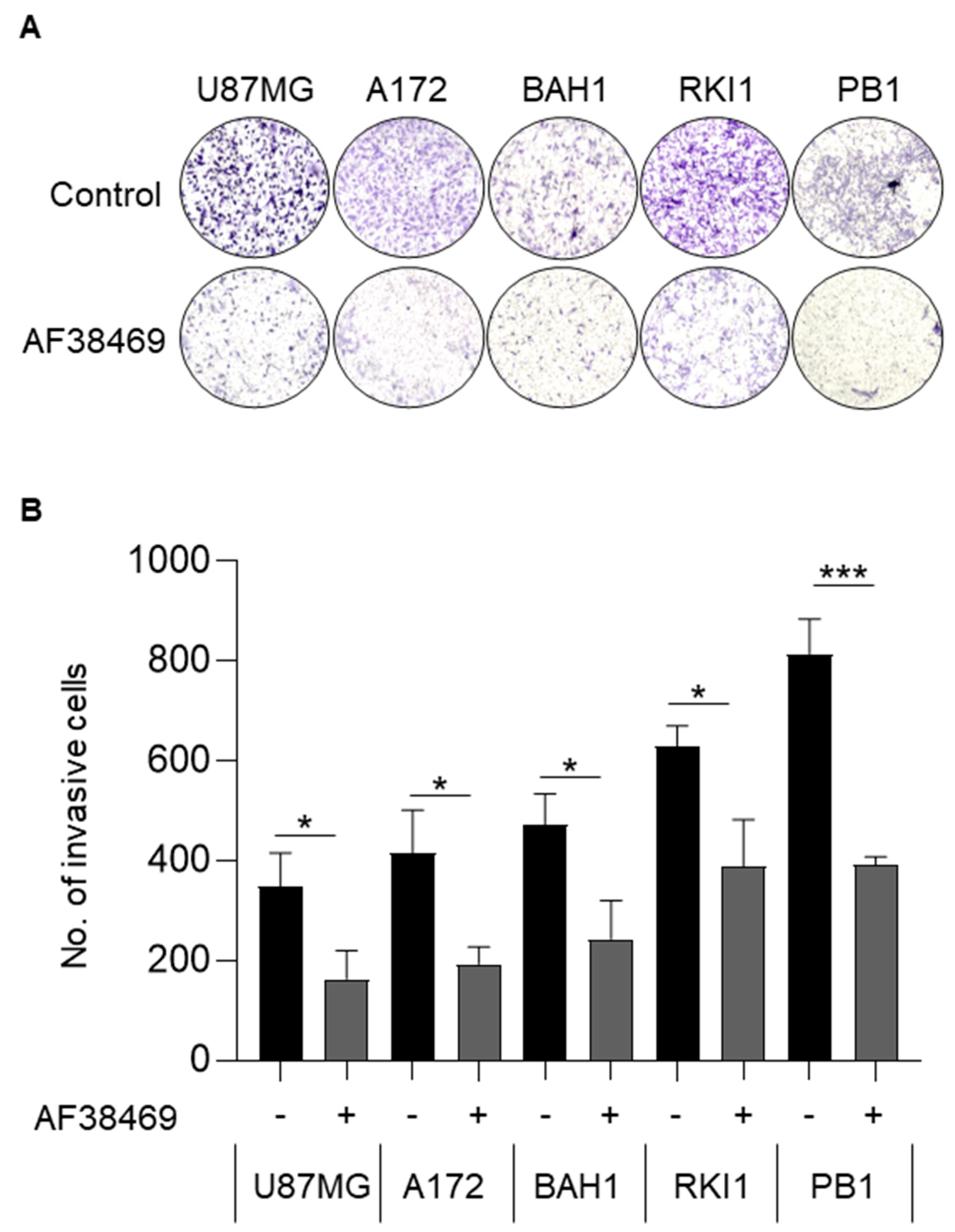 Cancers 15 02514 g006 Cancers 15 02514 g006