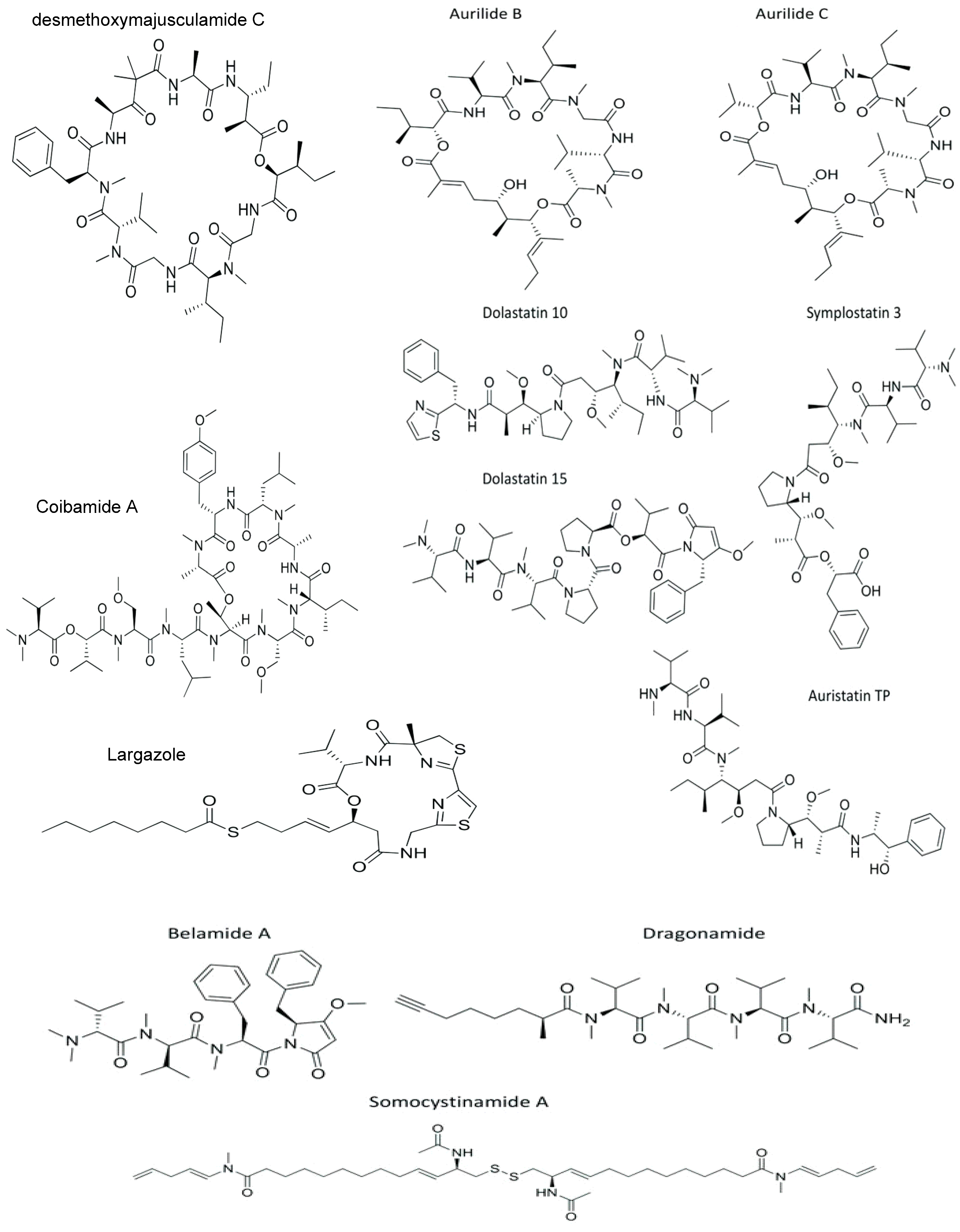Cancers 15 02515 g002 Cancers 15 02515 g002