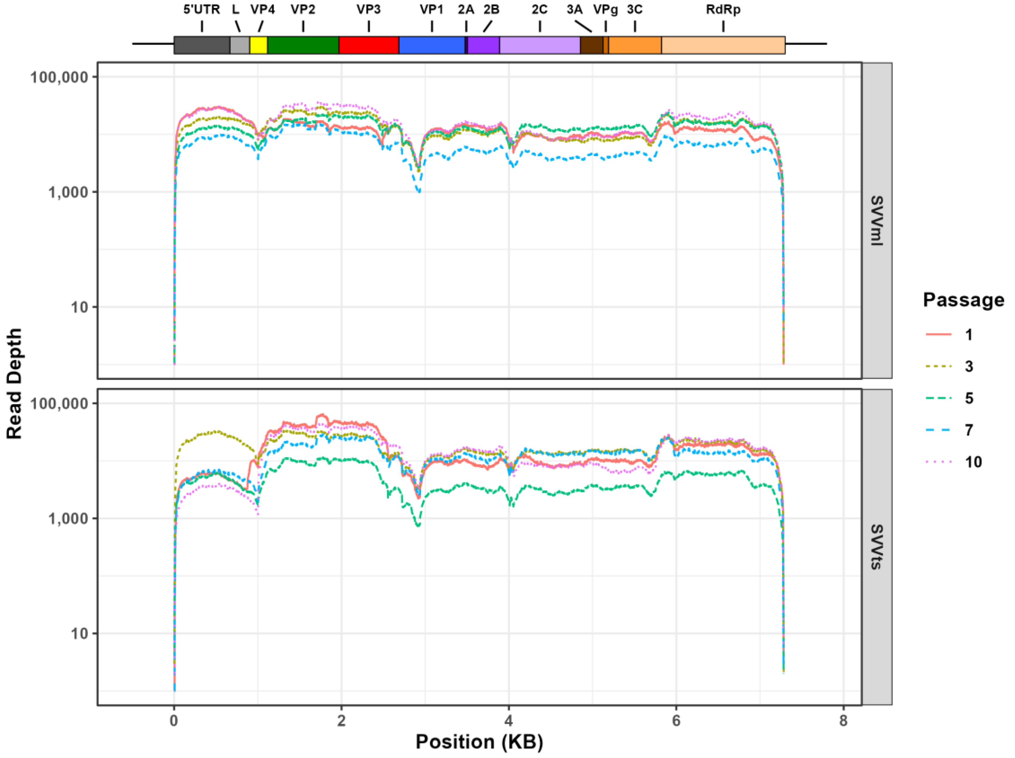 Cancers 15 02541 g002