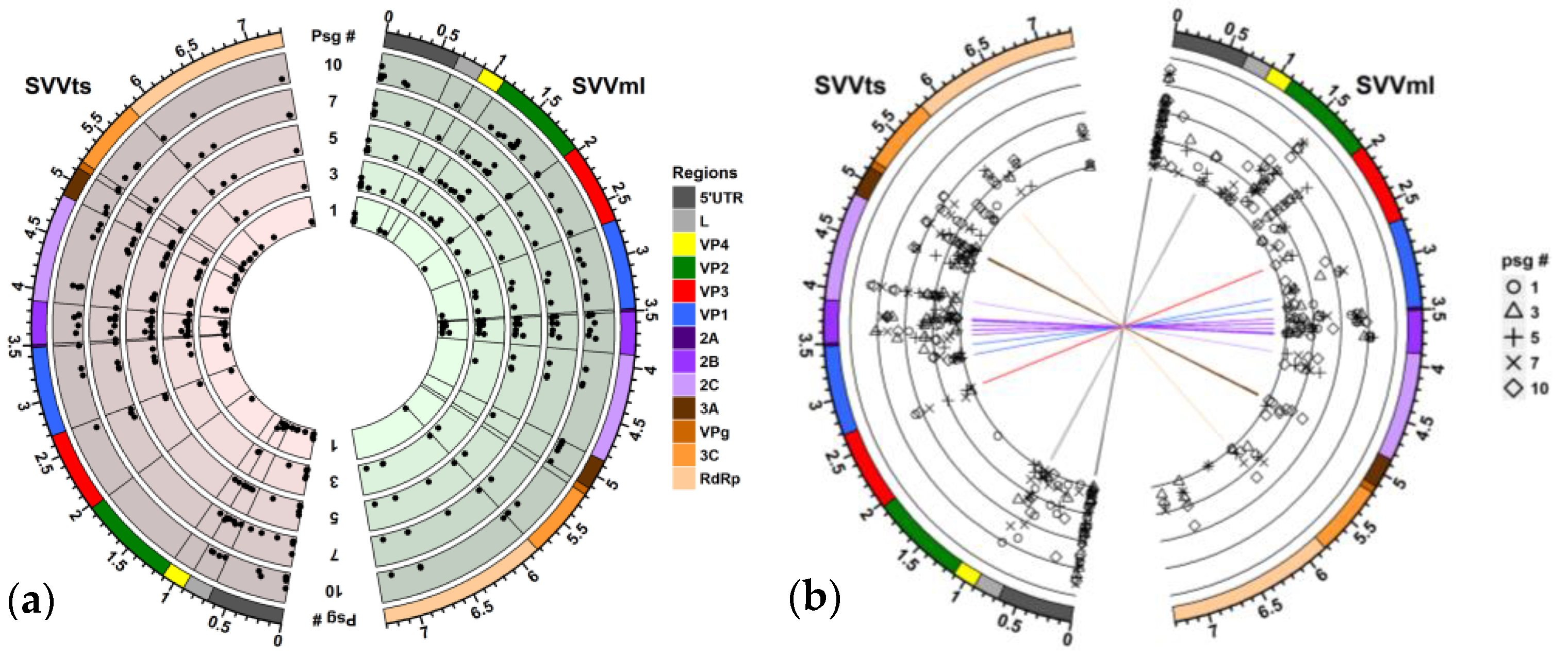 Cancers 15 02541 g003