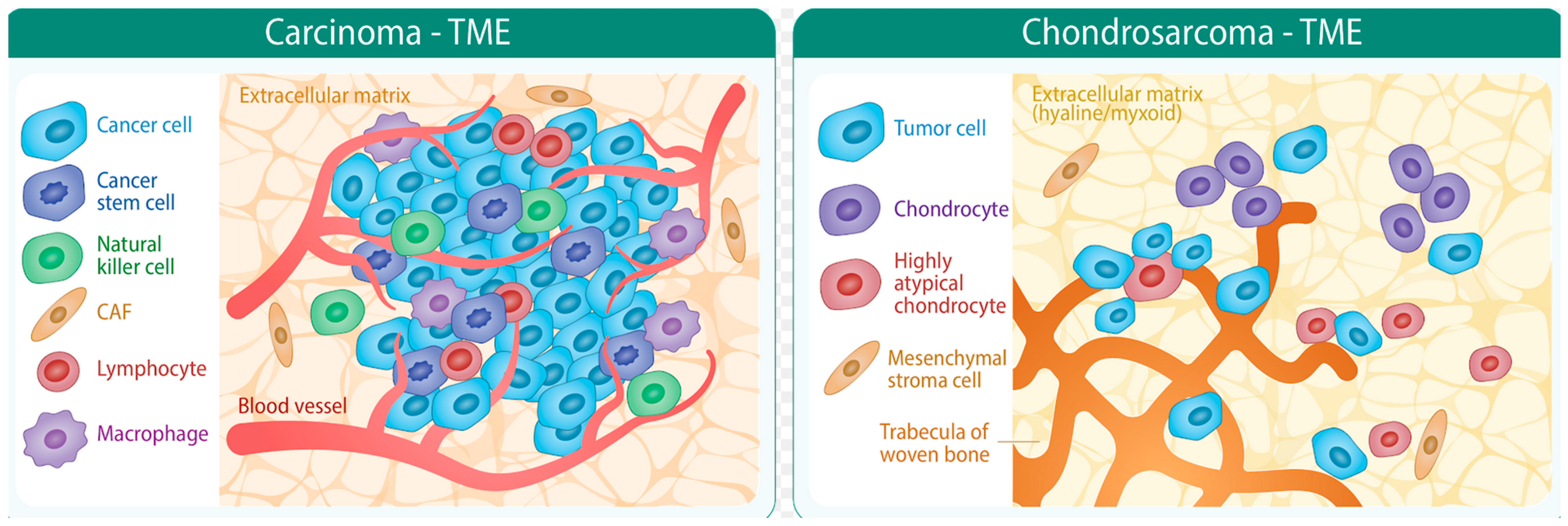 Cancers 15 02556 g003