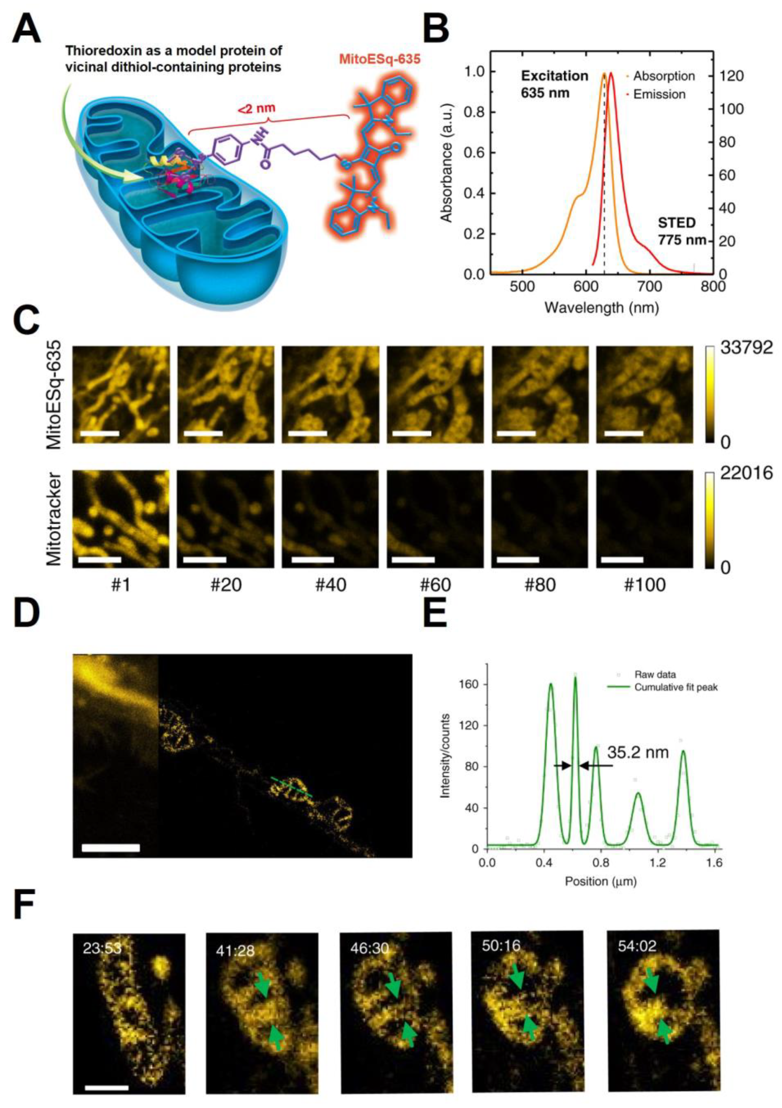 Cancers 15 02564 g002 Cancers 15 02564 g002