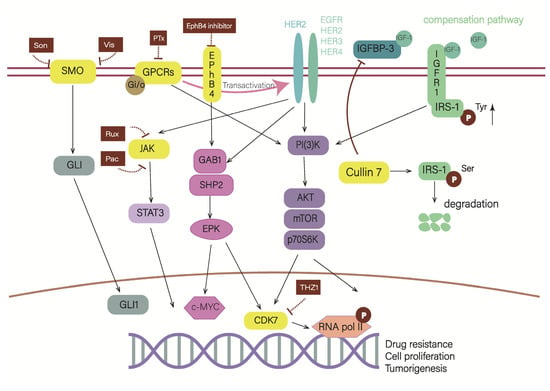 Cancers | Free Full-Text | Preclinical and Basic Research Strategies ...