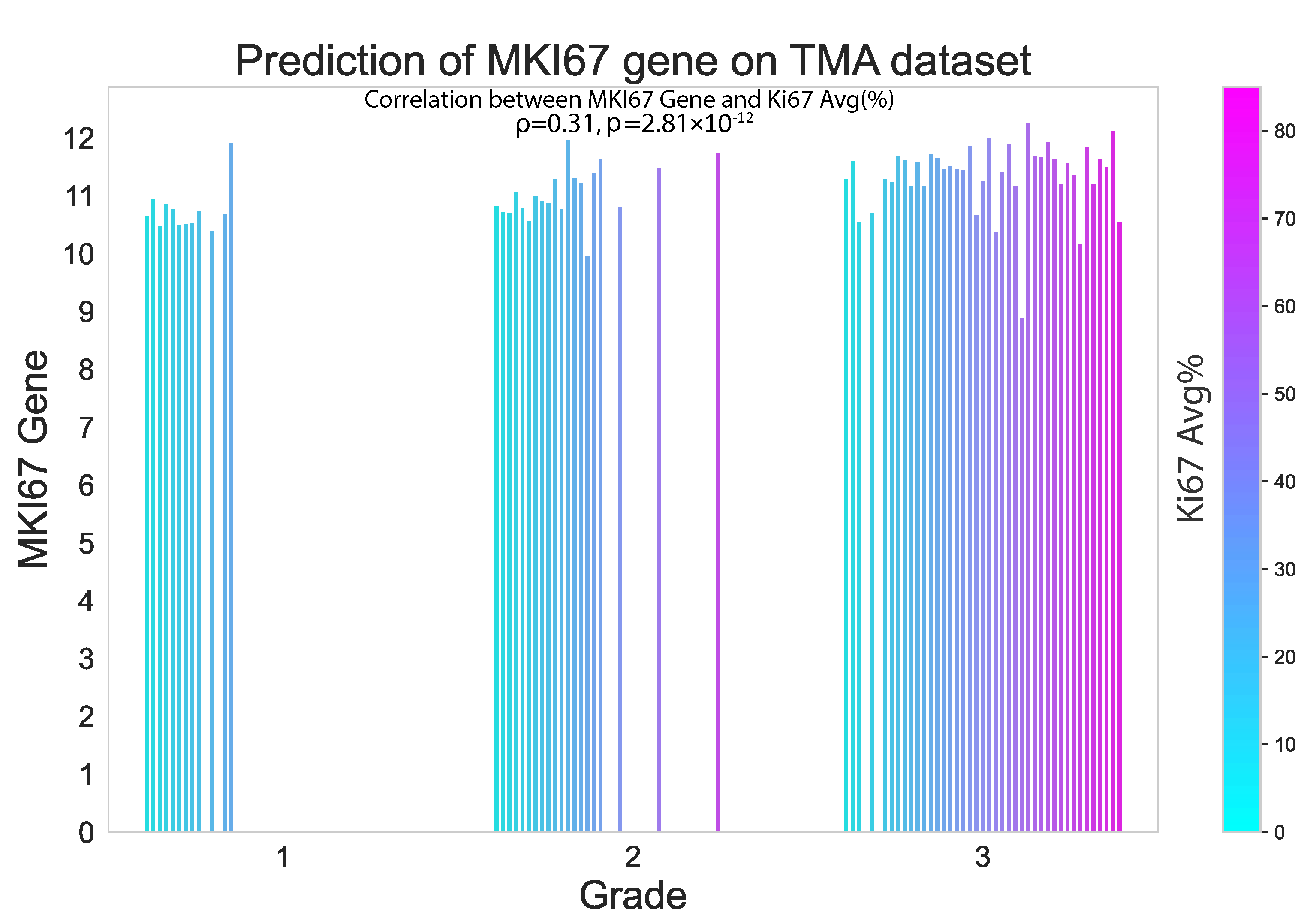 Cancers Free Full Text Hist2rna An Efficient Deep Learning