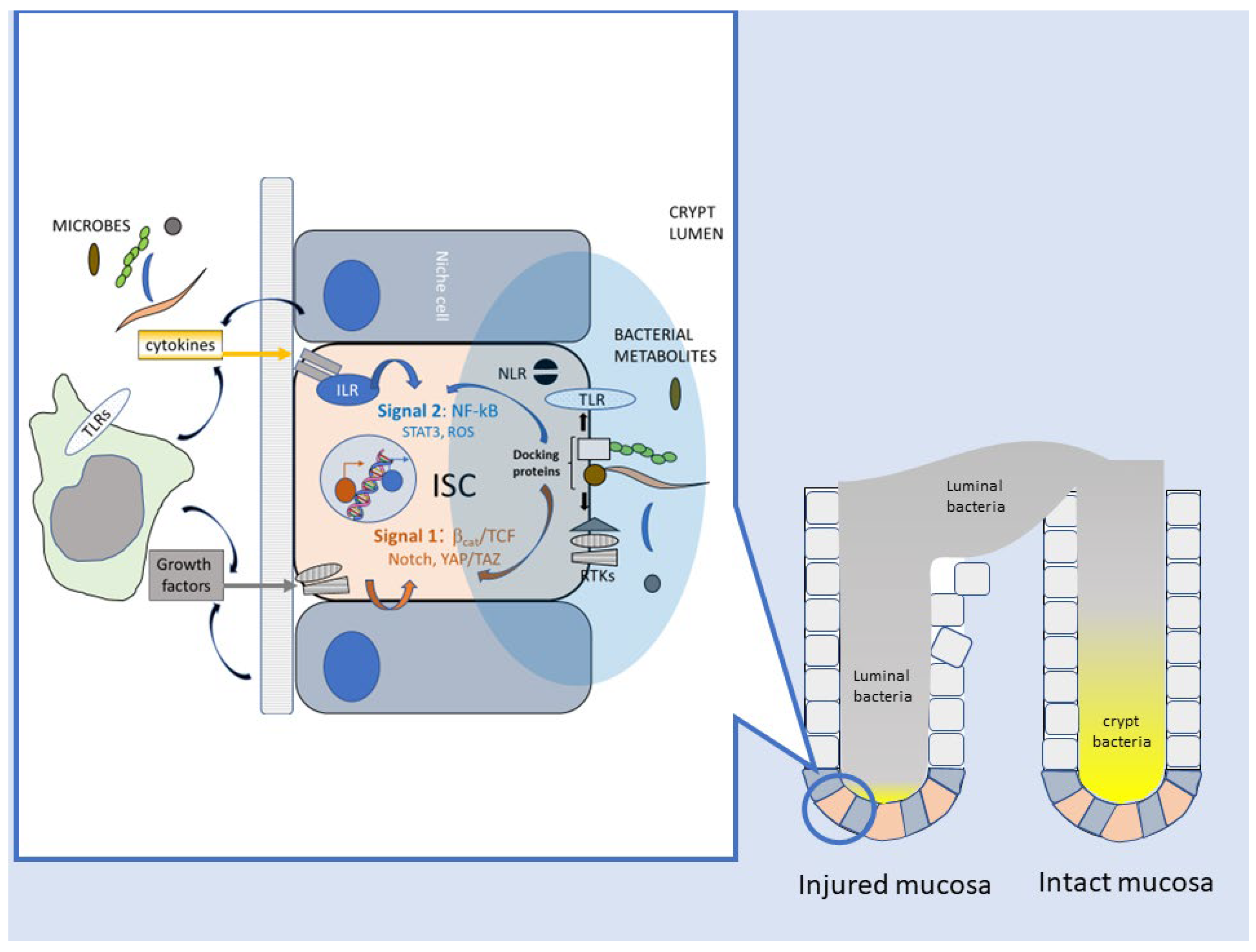 Cancers 15 02583 g003