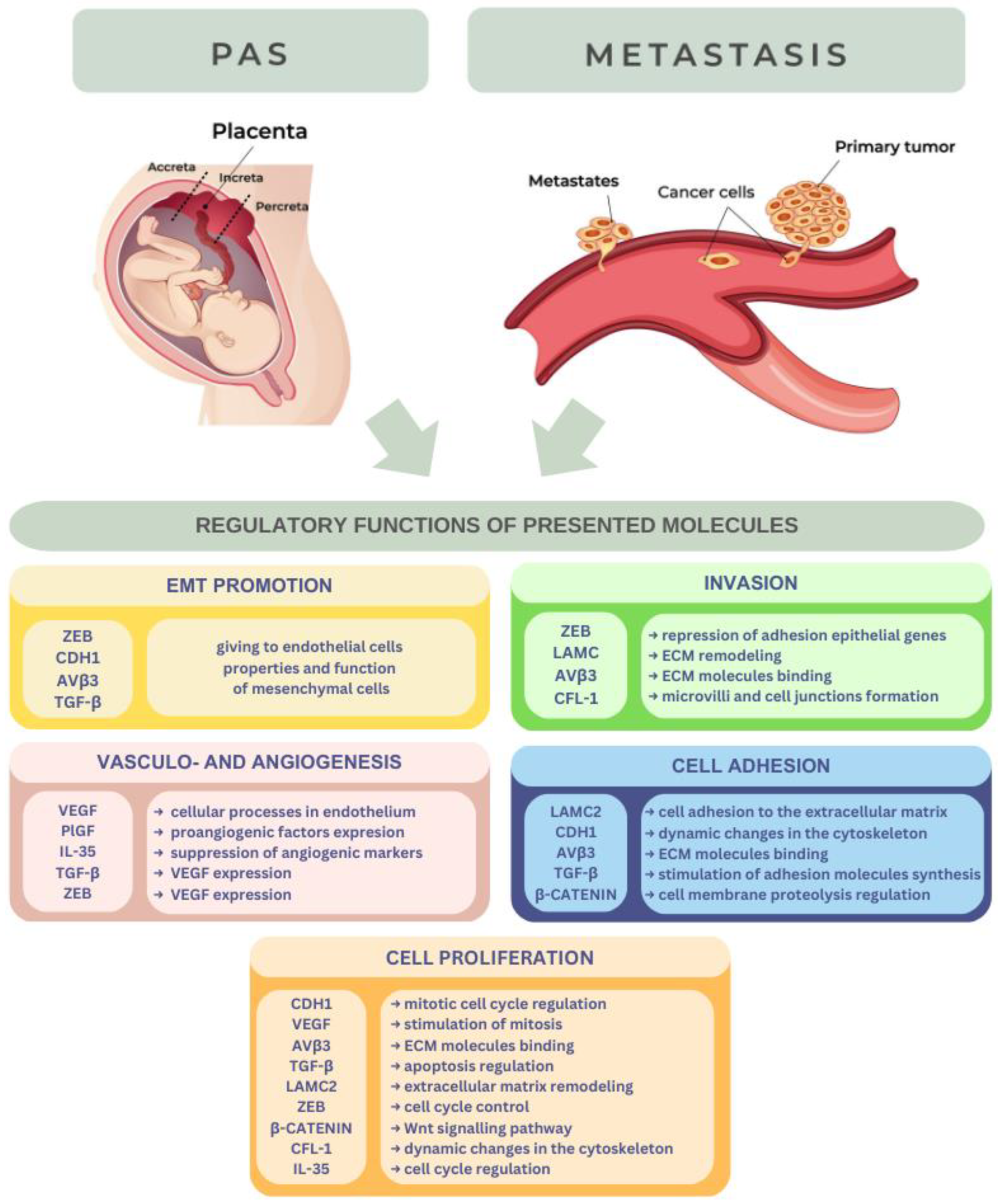 Cancers 15 02618 g001
