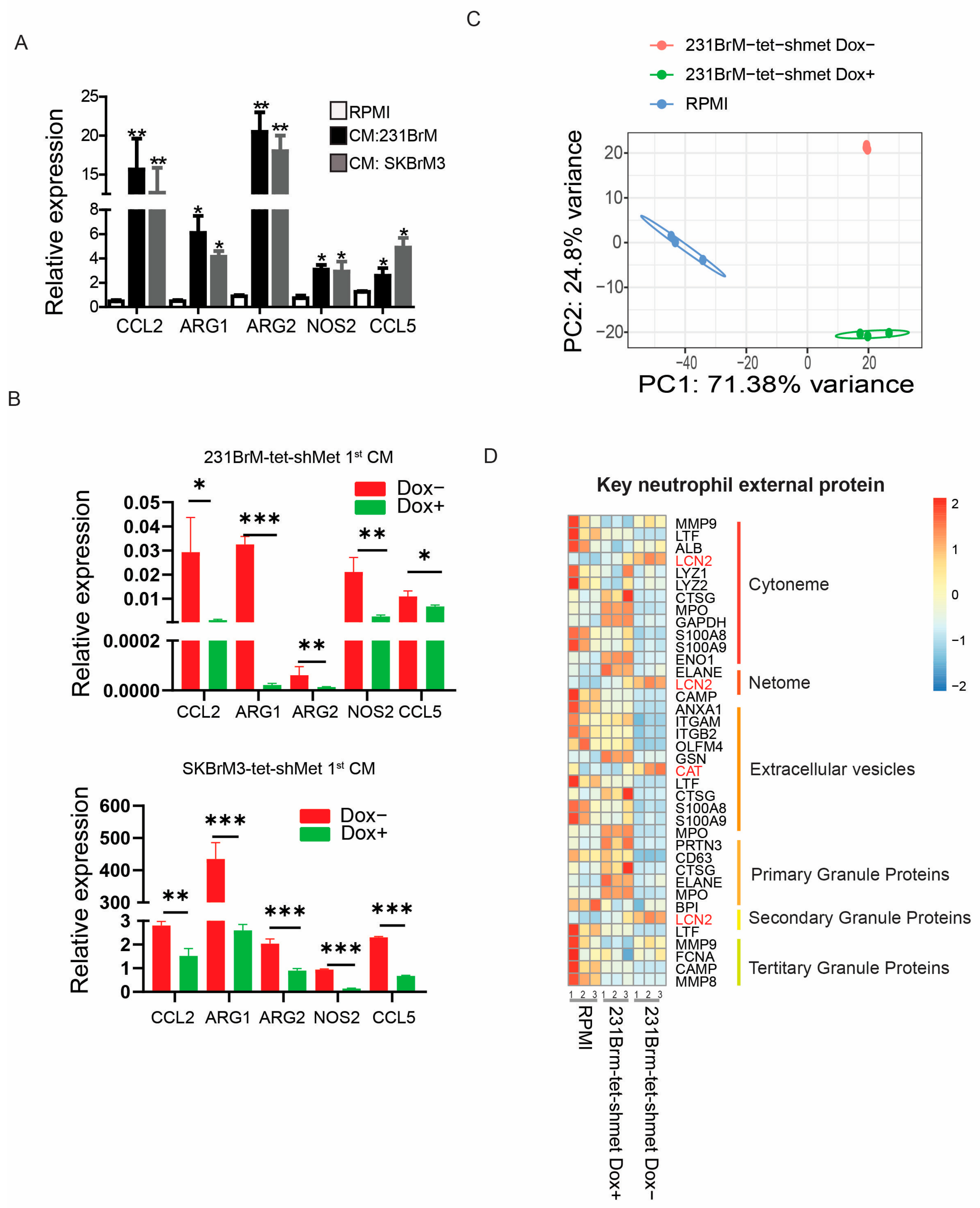 Blocking immunosuppressive neutrophils deters pY696-EZH2–driven brain  metastases