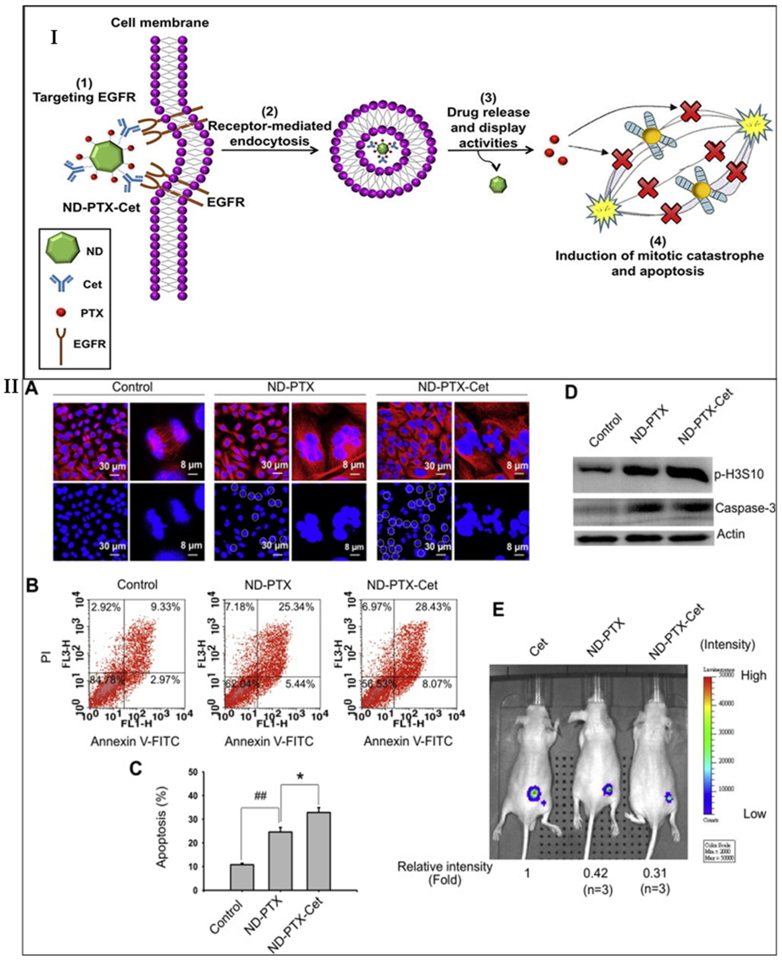 Cancers 15 02661 g003