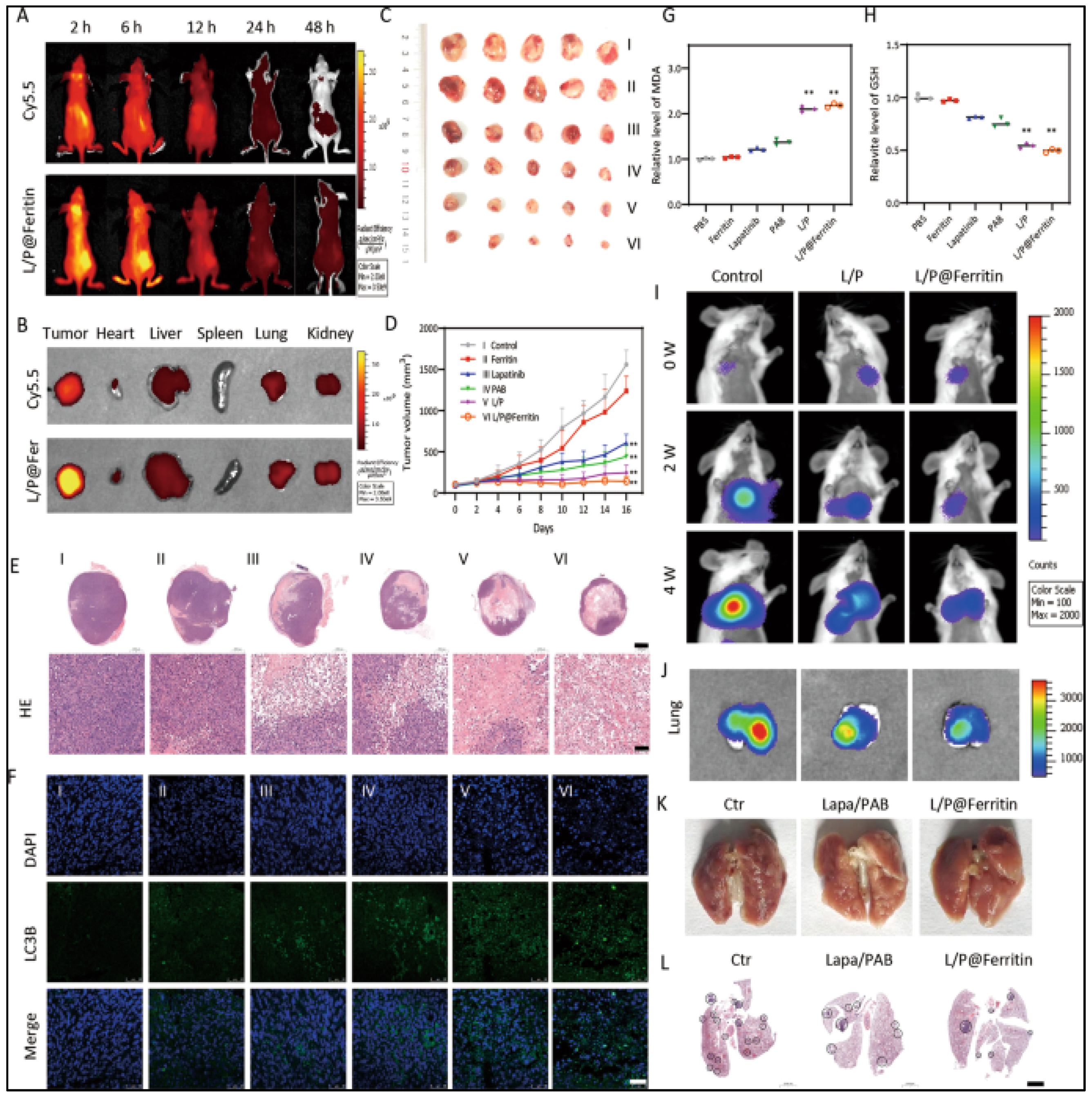 Cancers 15 02661 g004
