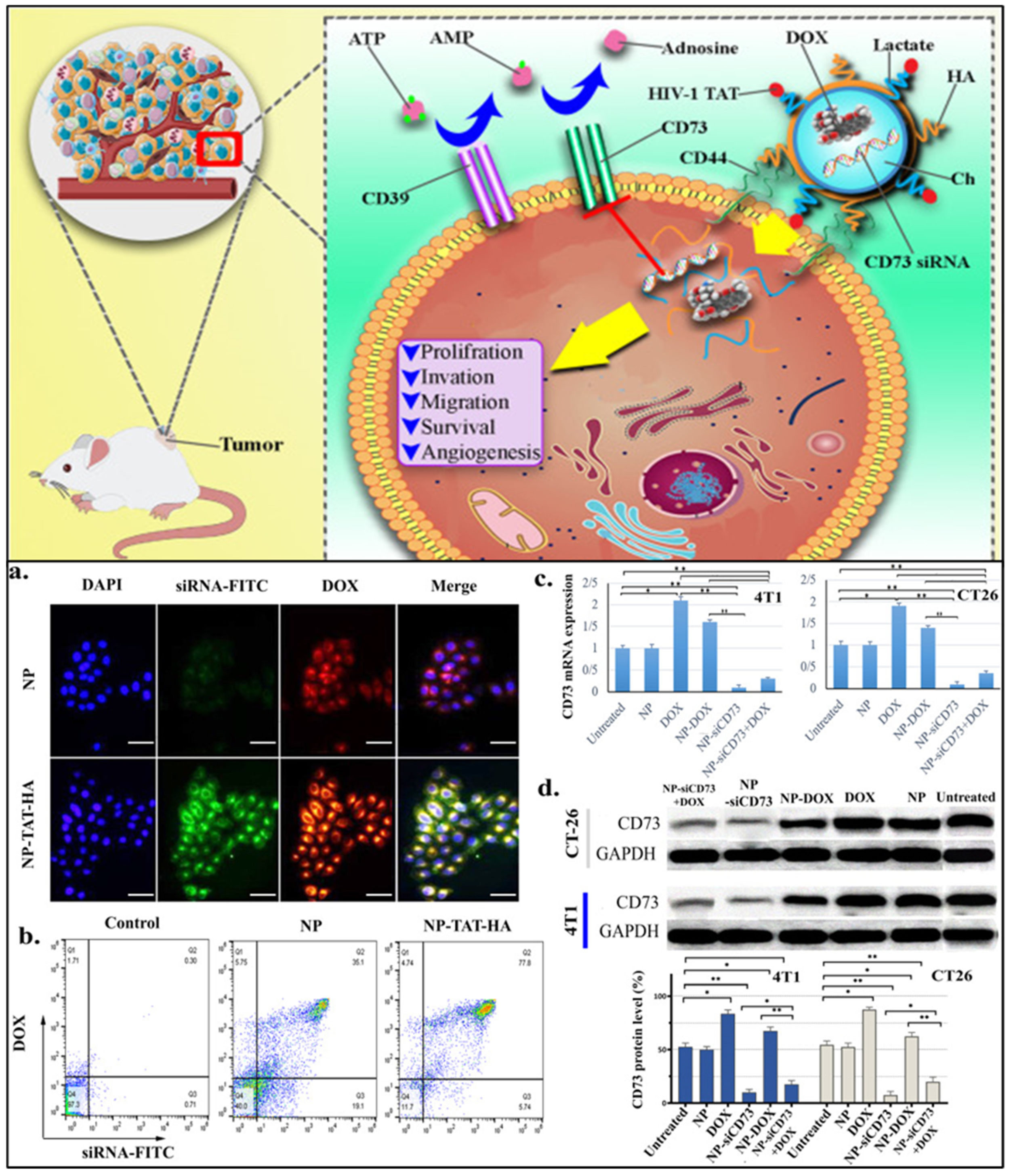 Cancers 15 02661 g008