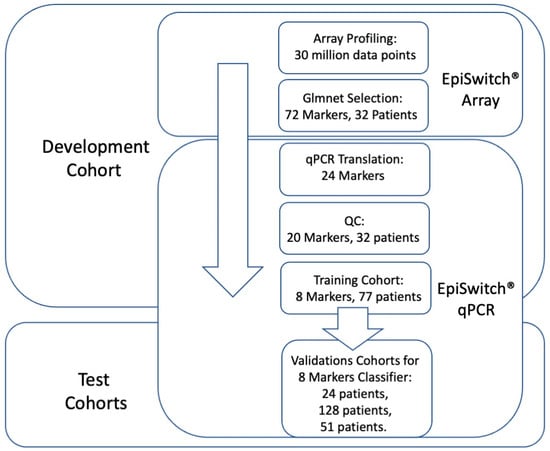 Typical profiles for phases with EGAM activity (top), local GAM