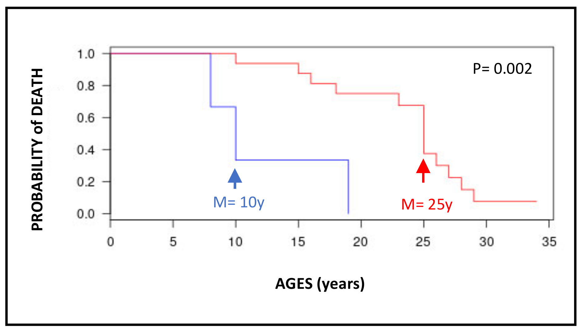 Cancers 15 02706 g004 Cancers 15 02706 g004