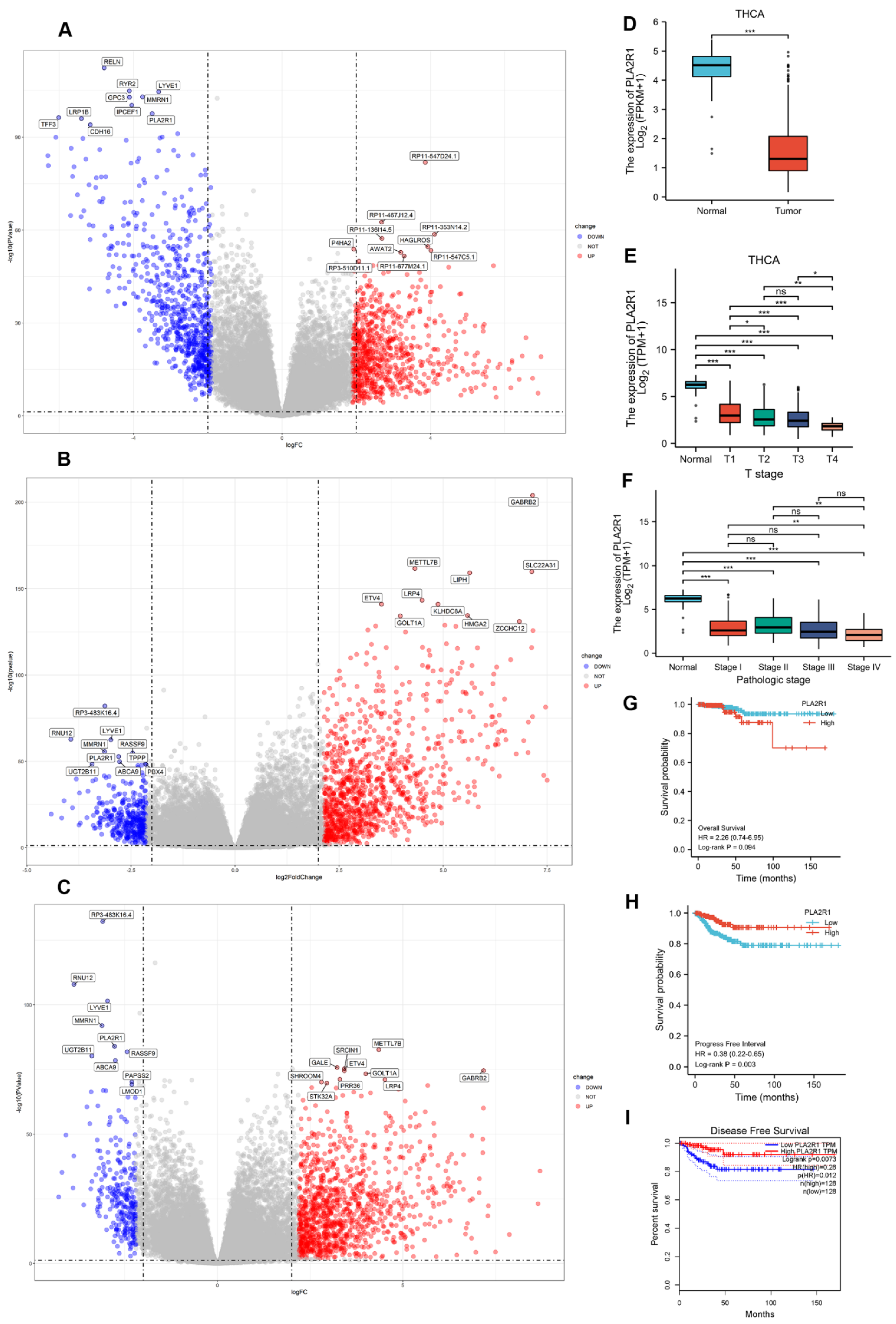 Cancers 15 02720 g001 Cancers 15 02720 g001
