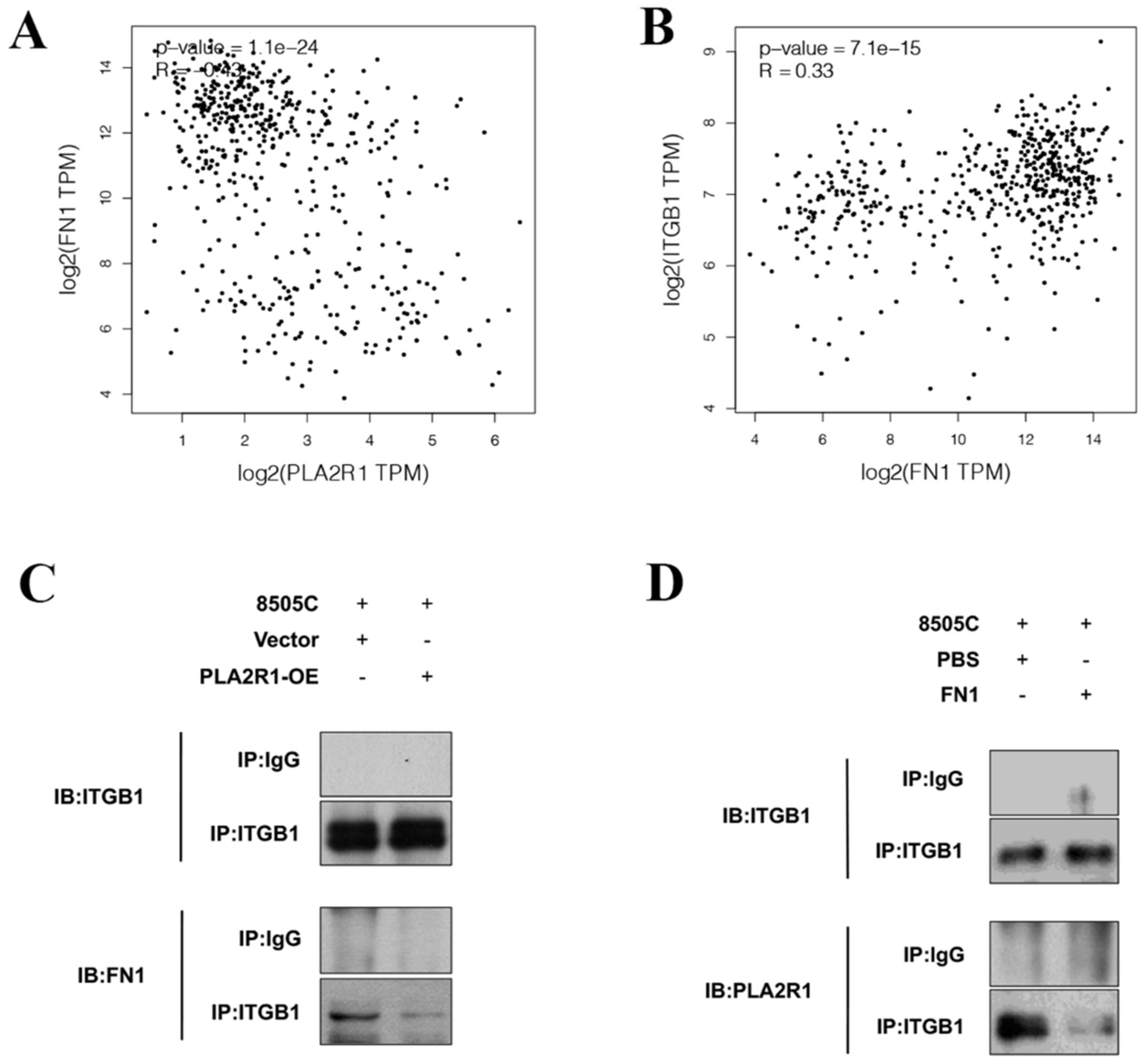 Cancers 15 02720 g005 Cancers 15 02720 g005