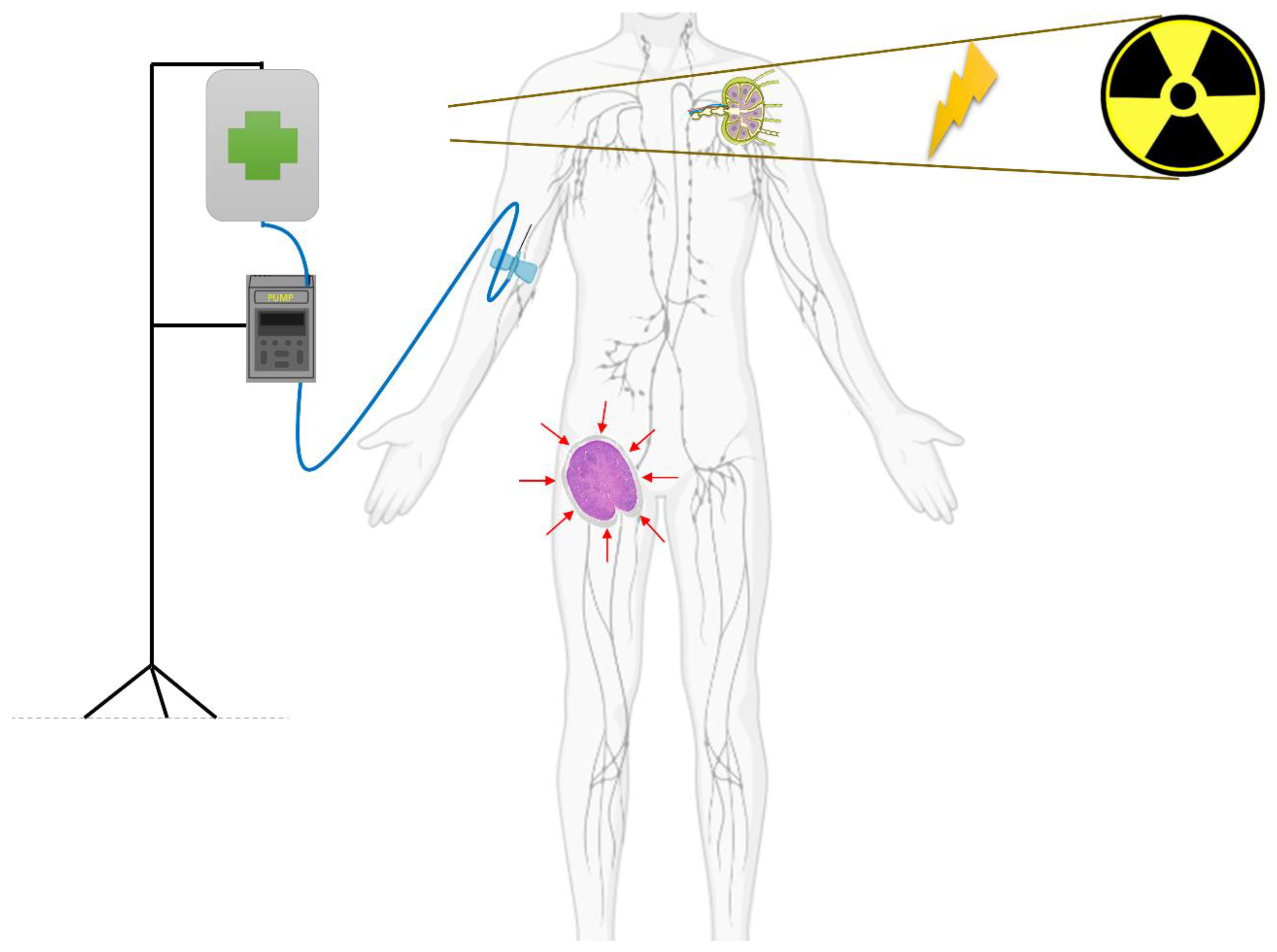 Cancers 15 02751 g002