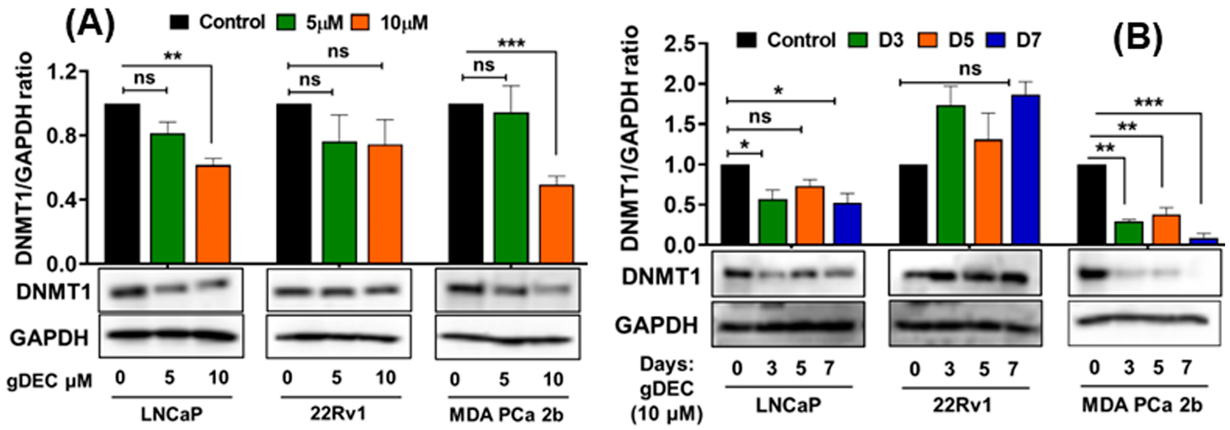 Cancers 15 02763 g001