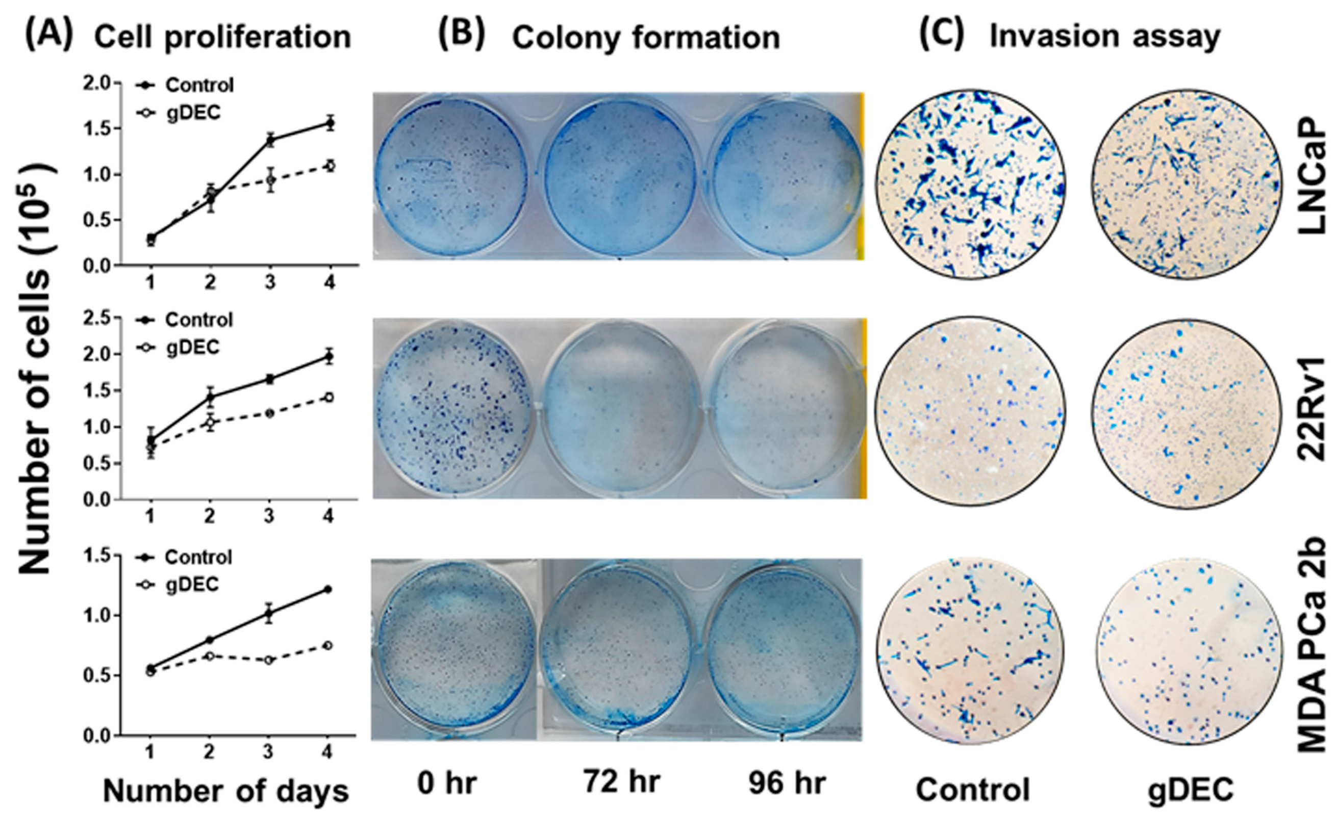 Cancers 15 02763 g002