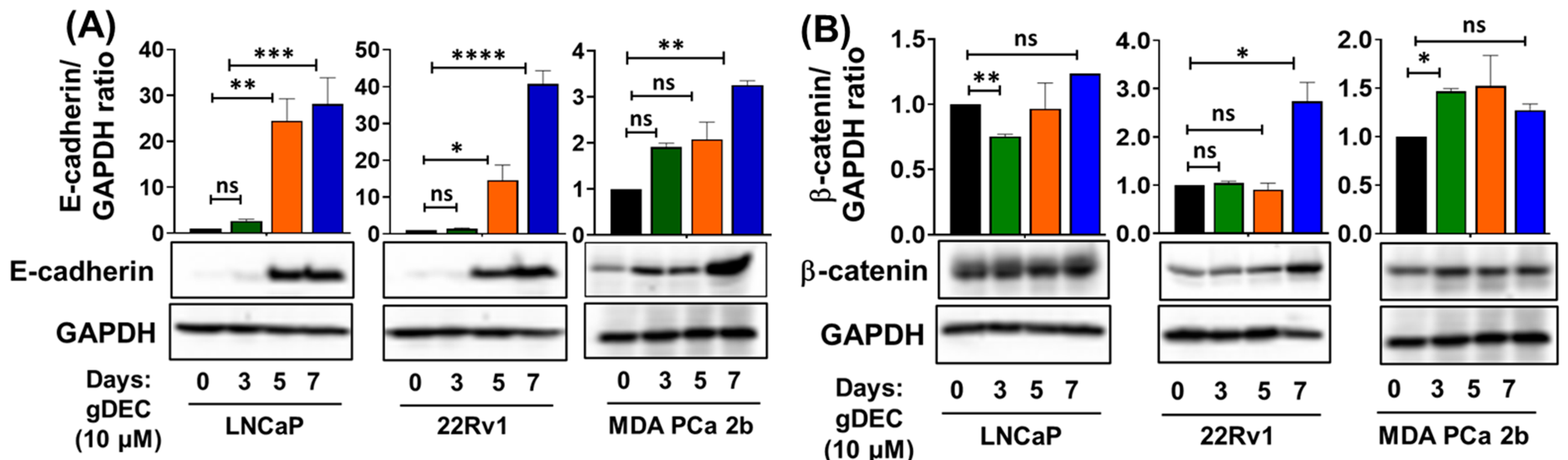 Cancers 15 02763 g004